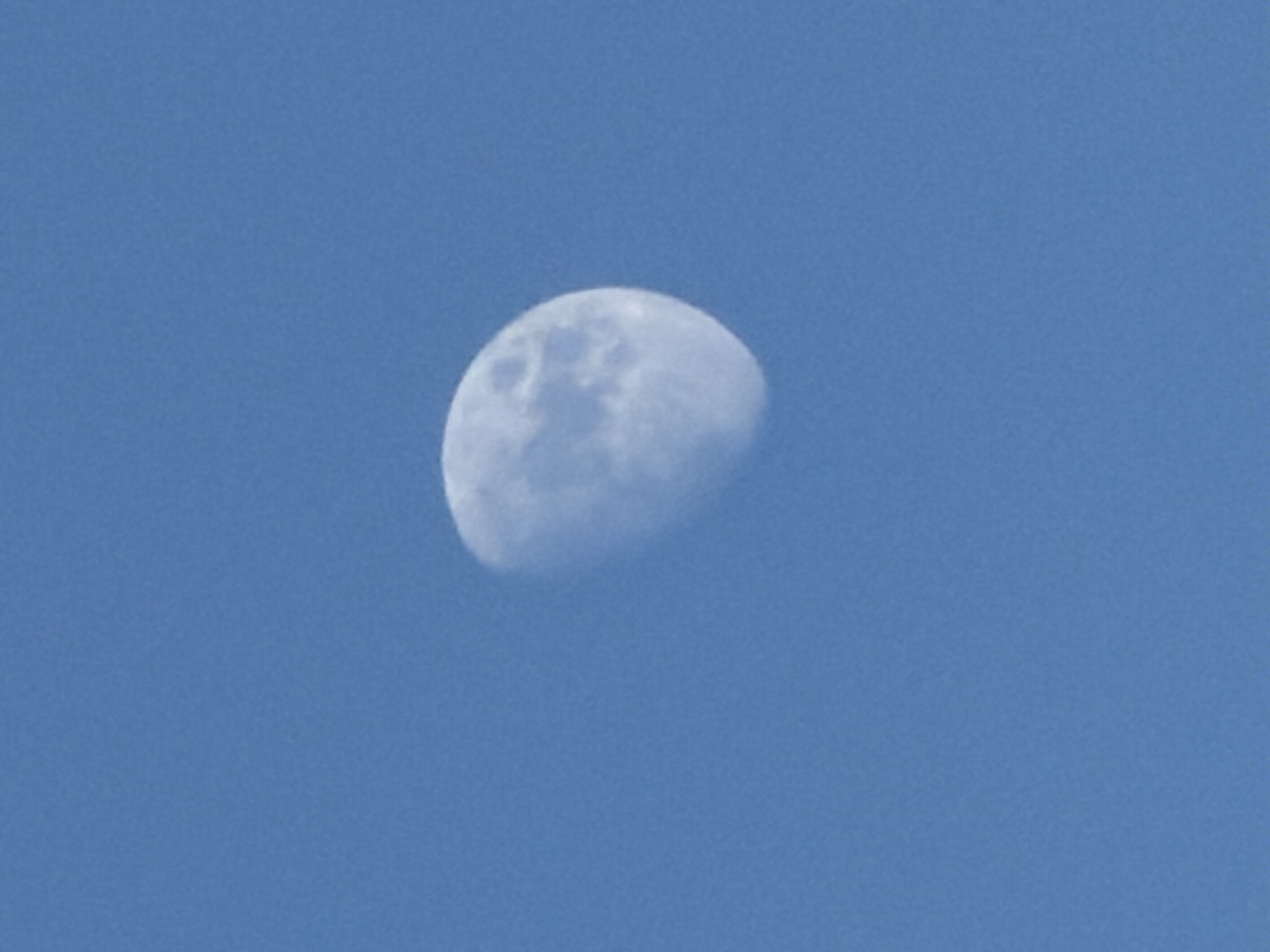 Planes, a daytime moon, and cooking in Riverhead