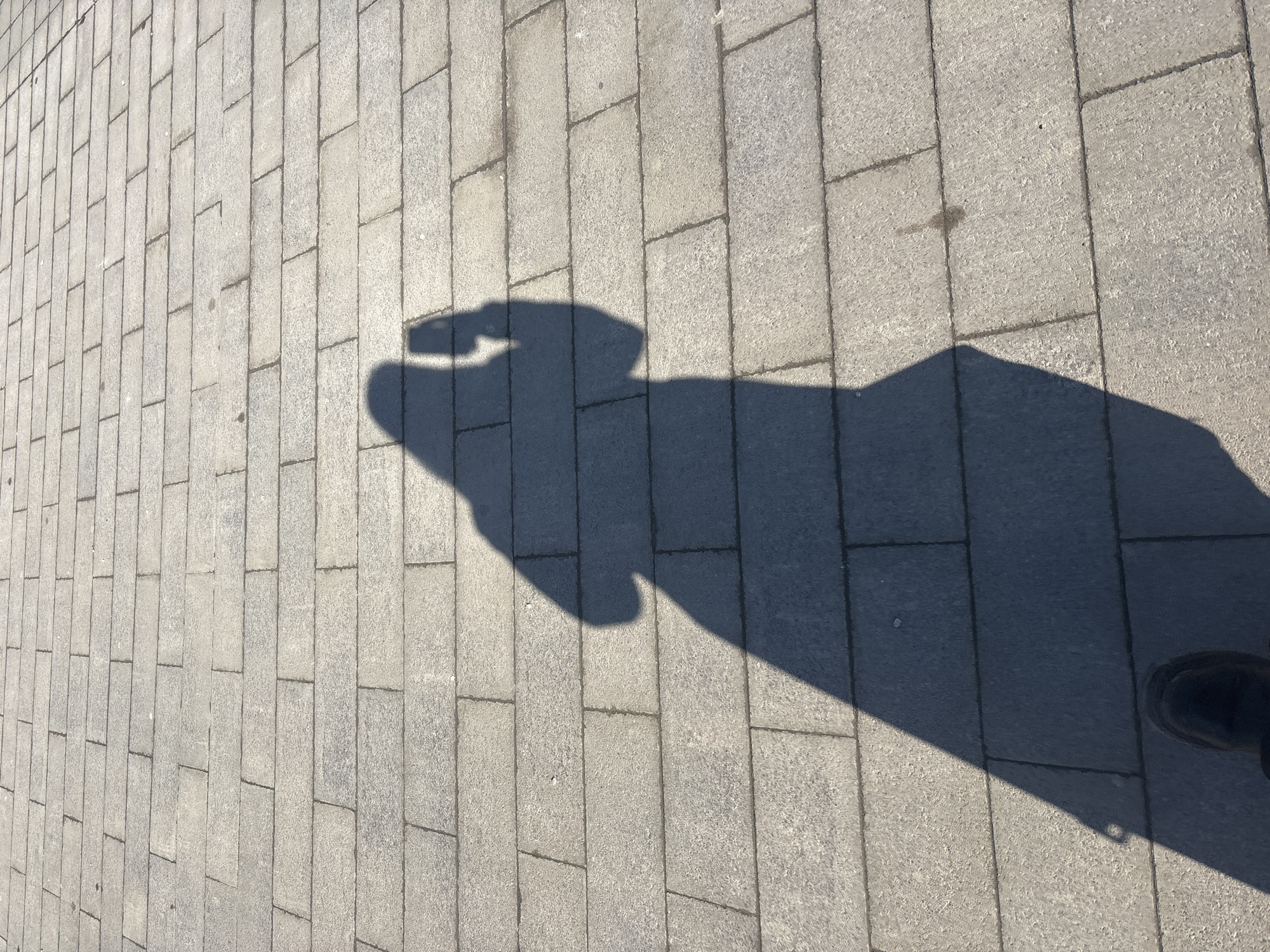 Photographer's shadow captured on paved walkway in Perm