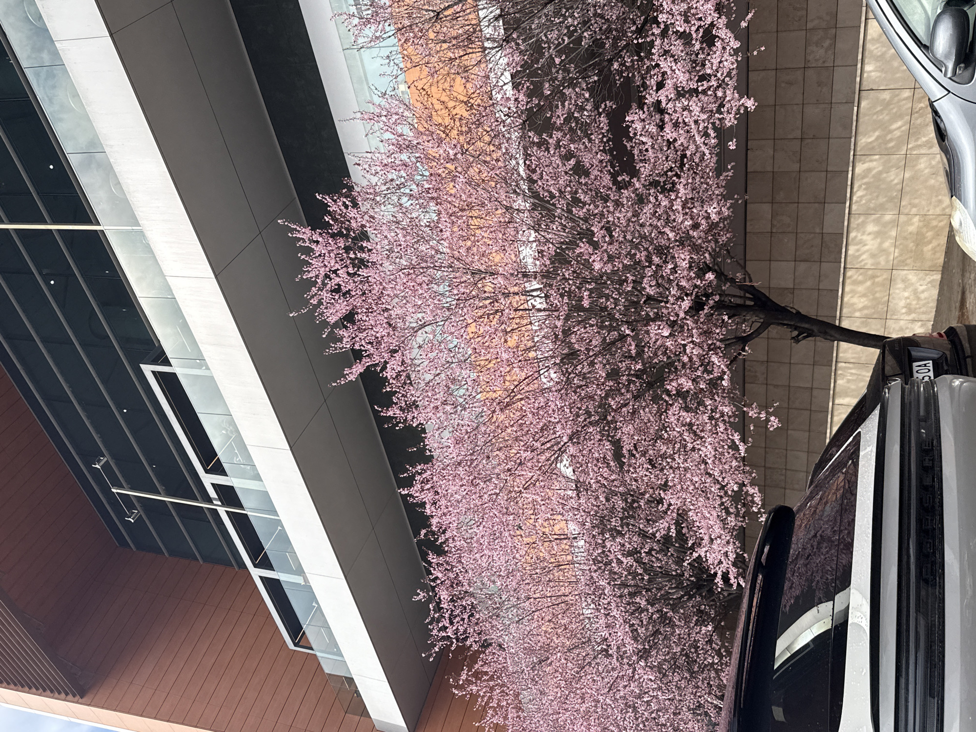 Sofia residents document spring day dining and shopping activities