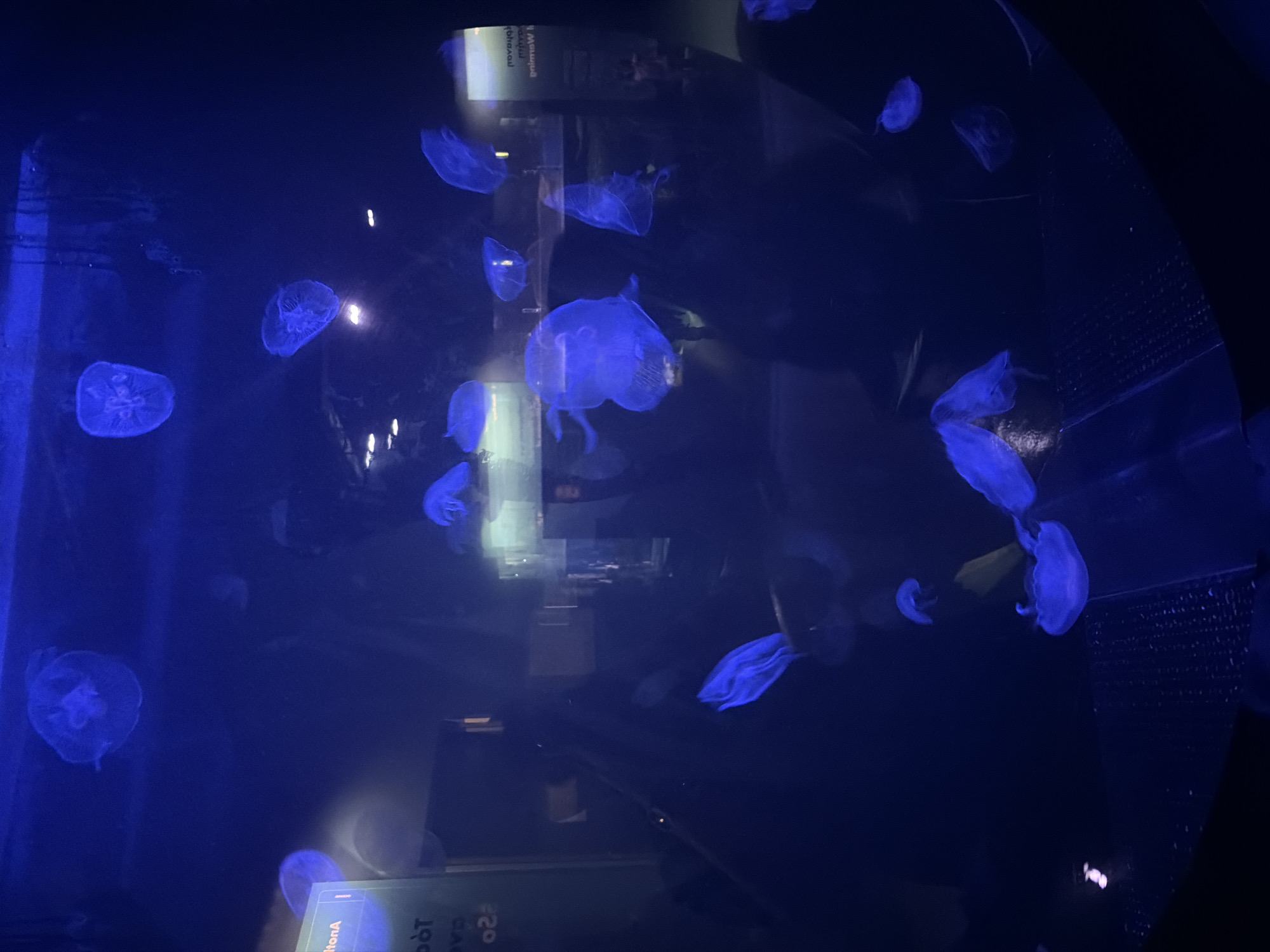 Aquarium, planetarium, and mall exploration over an afternoon
