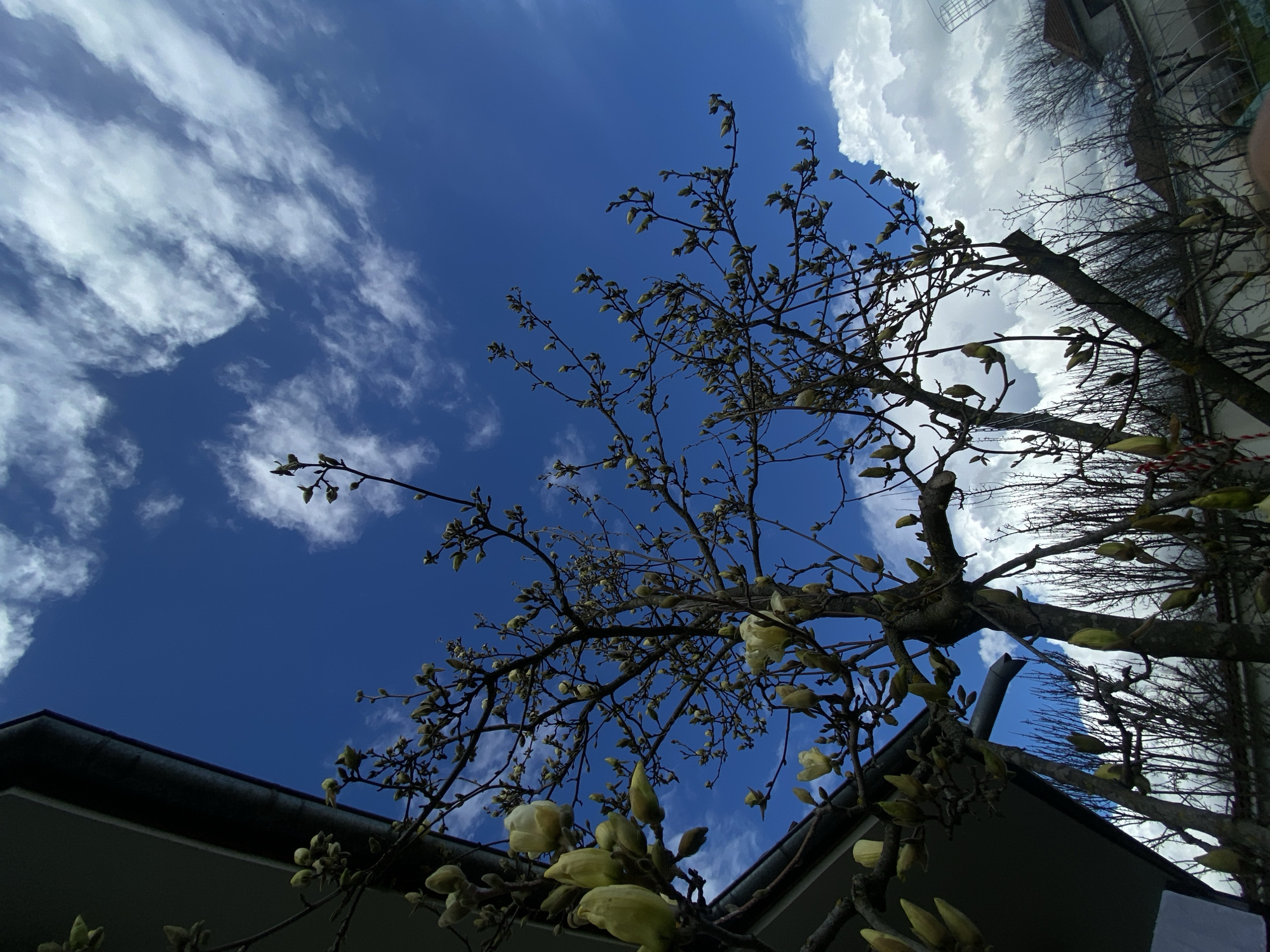Spring blooms and cloudy skies observed in Bulgarian village