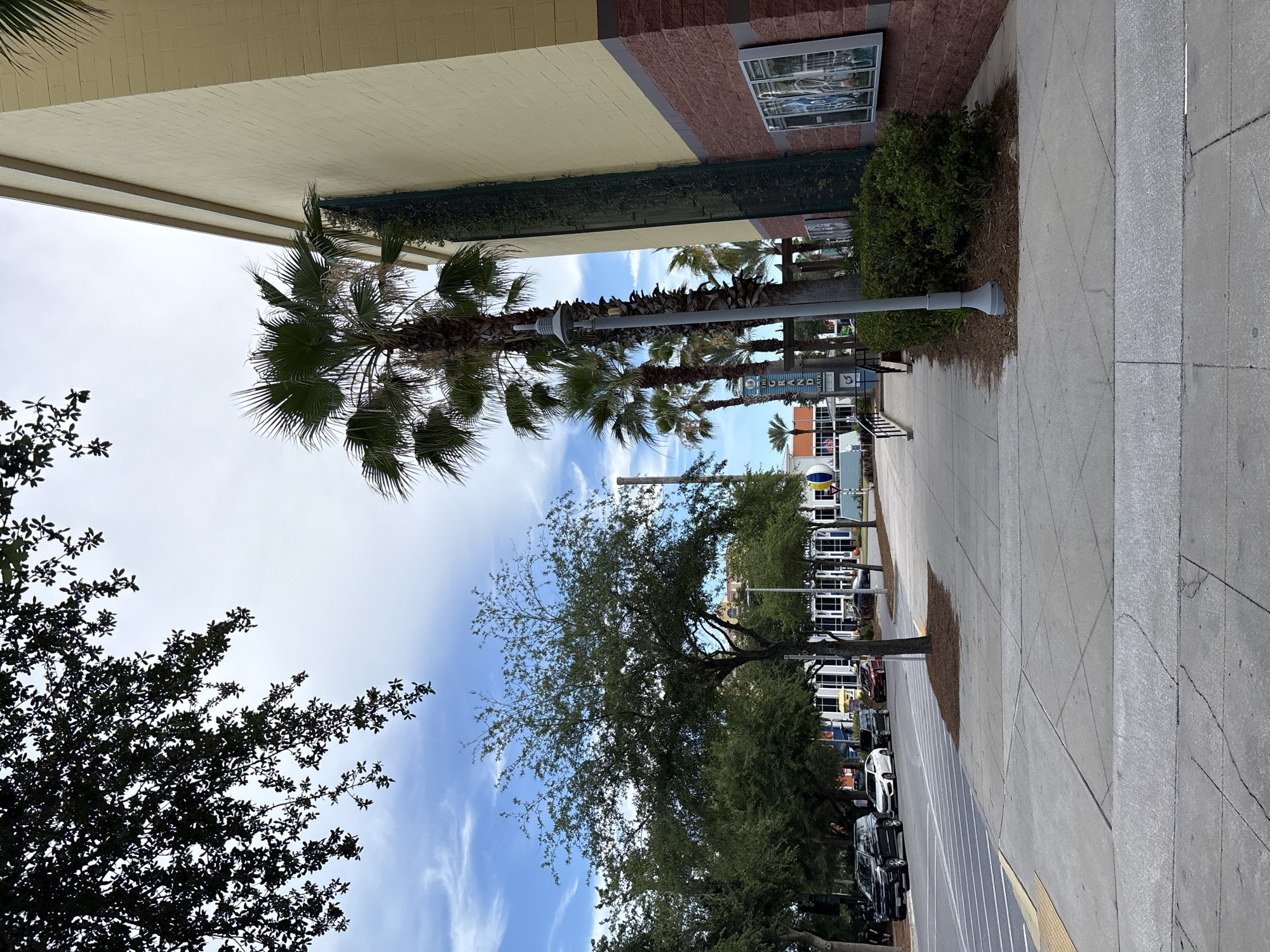 White Ferris wheel documented in Panama City Beach street scenes