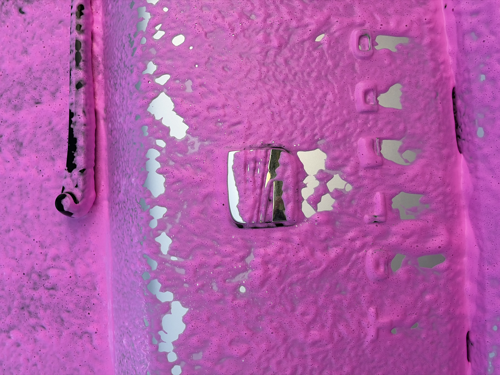 Garden snapshots, curious pets, and a car buried in pink foam.