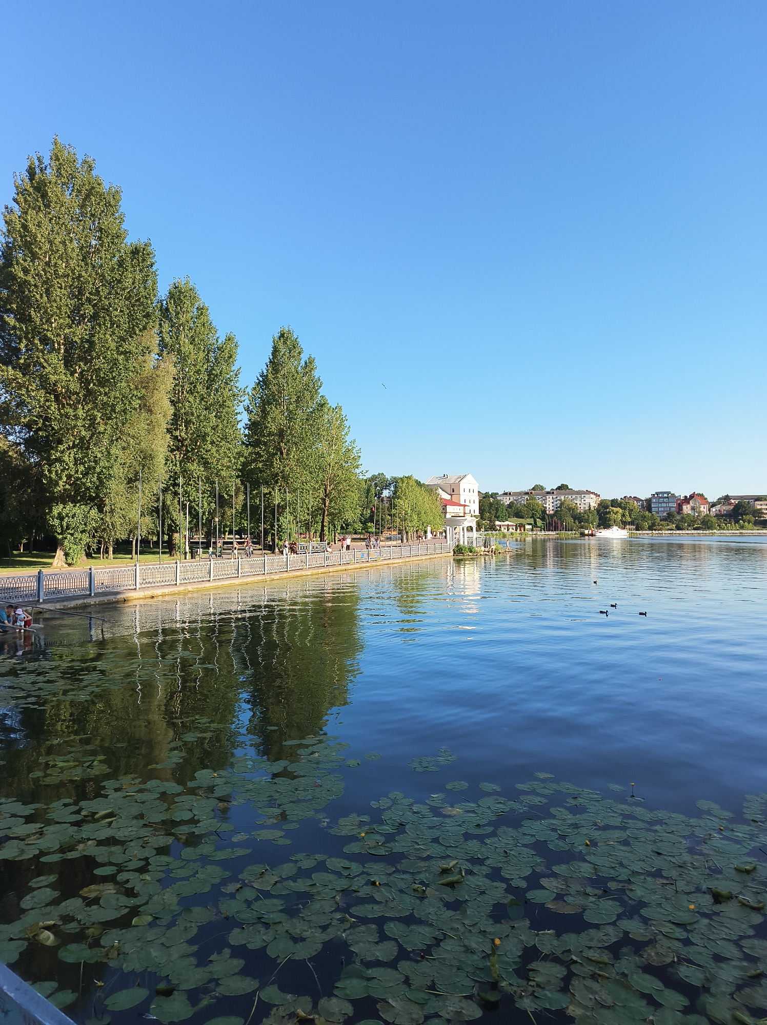 Afternoon life along Ternopil Pond's waterfront promenade