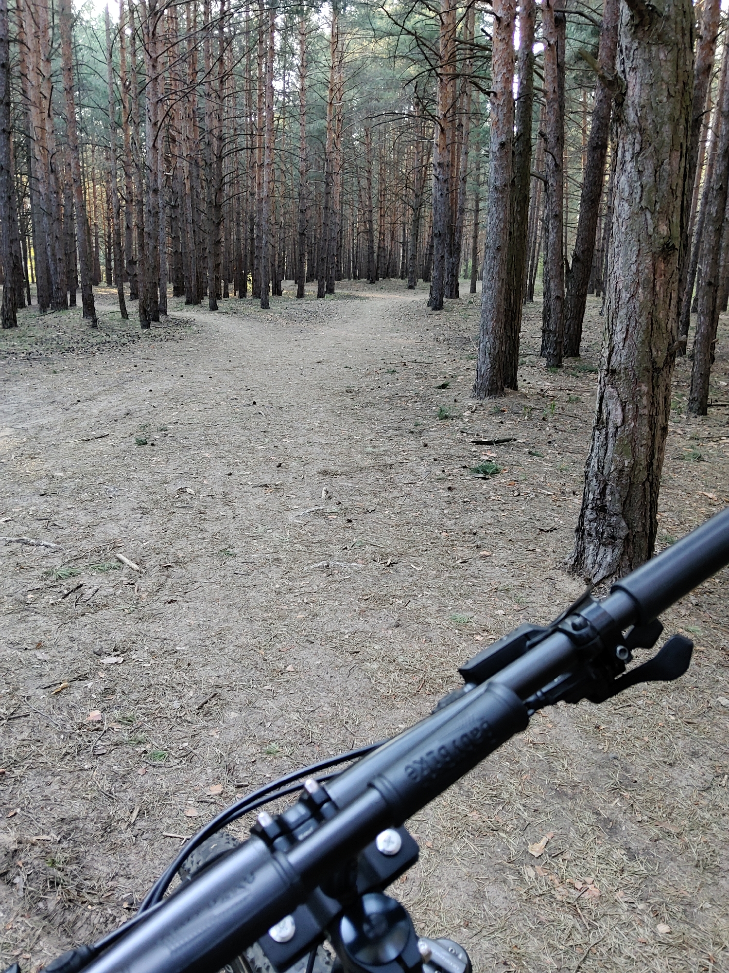Moscow resident enjoys forest cycling, kayaking and city driving