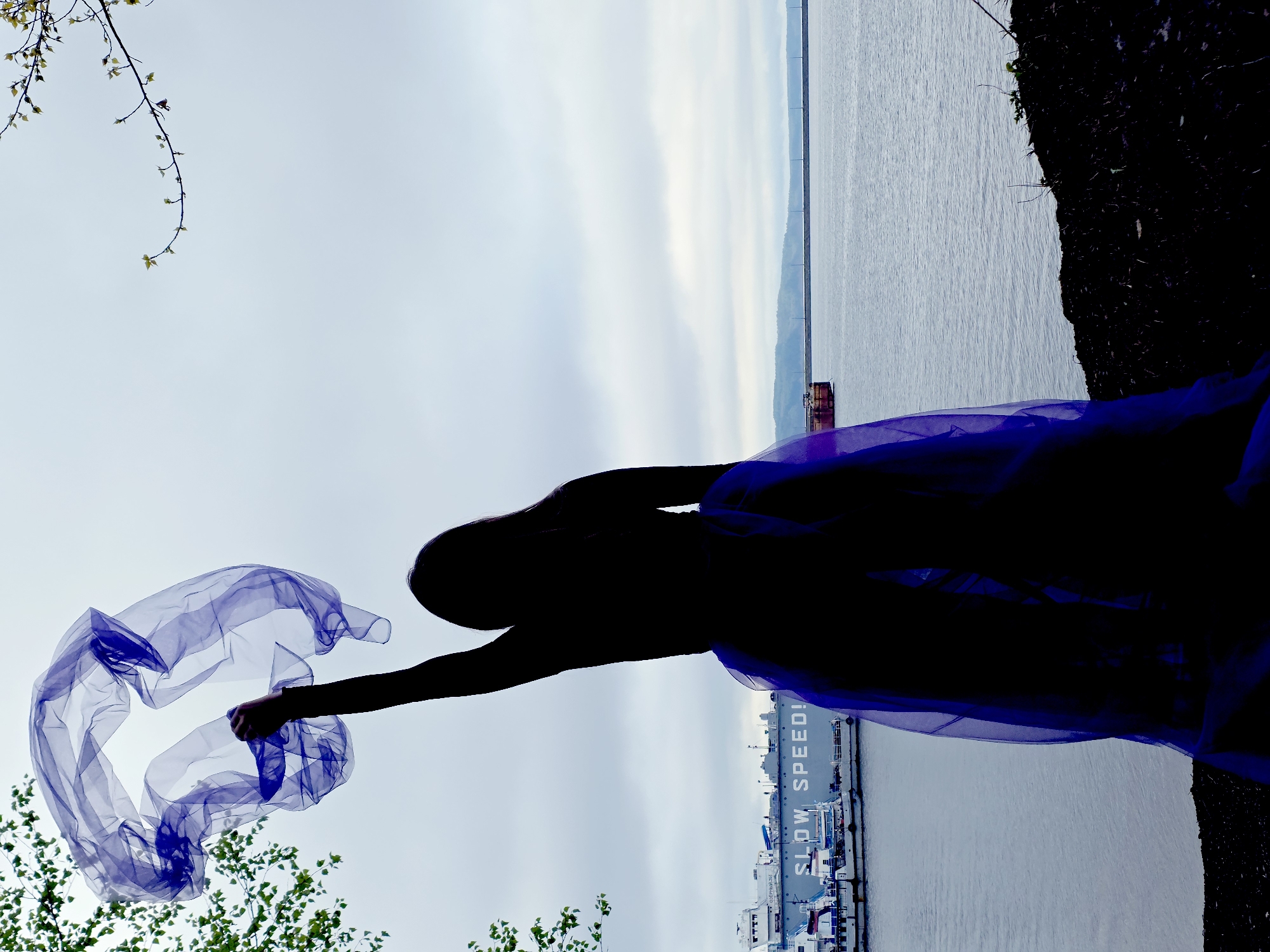 Figure holds fabric on Chaikovsky coastline with ship nearby