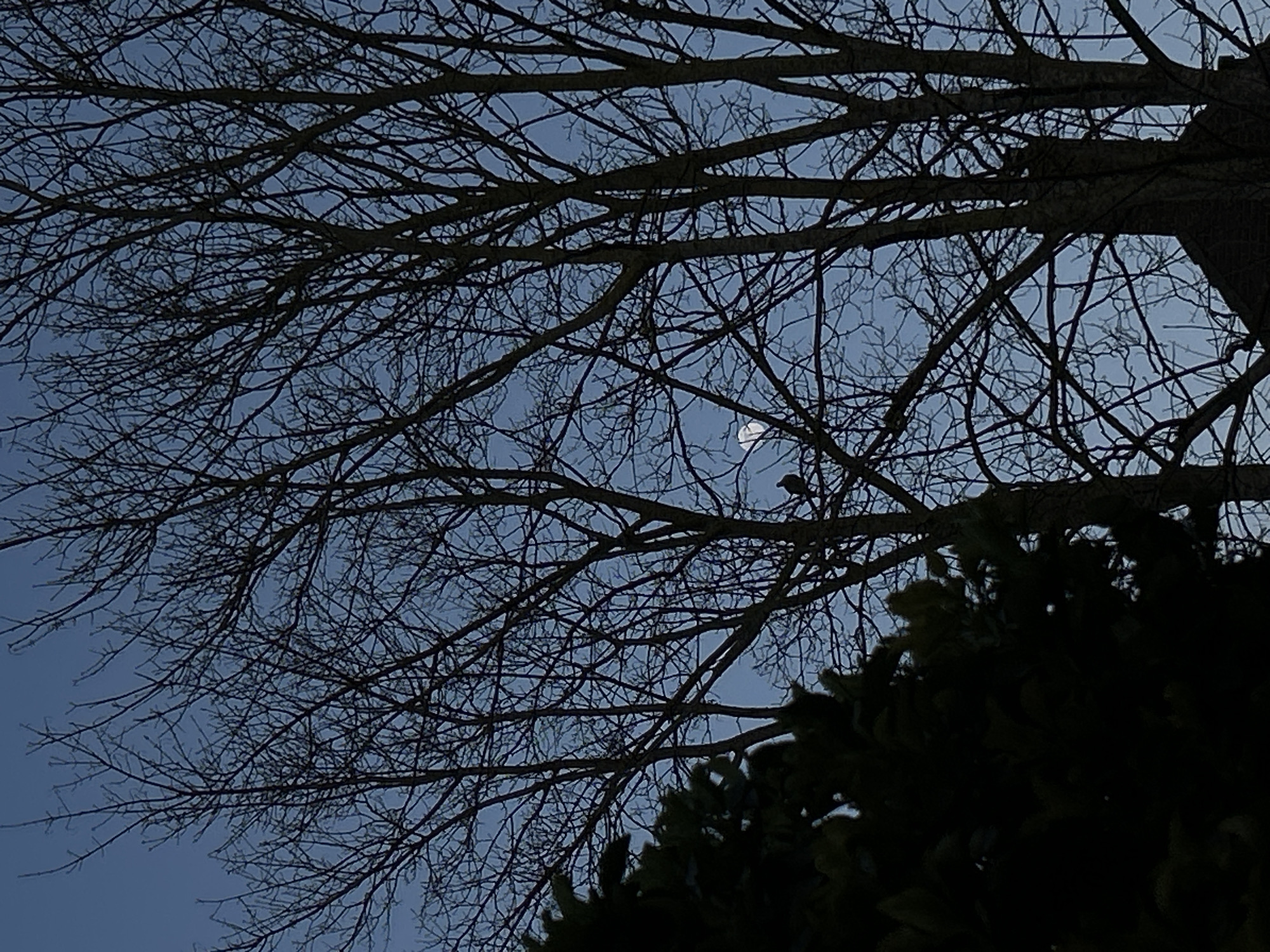 Evening sky observations captured in Sliedrecht, Netherlands