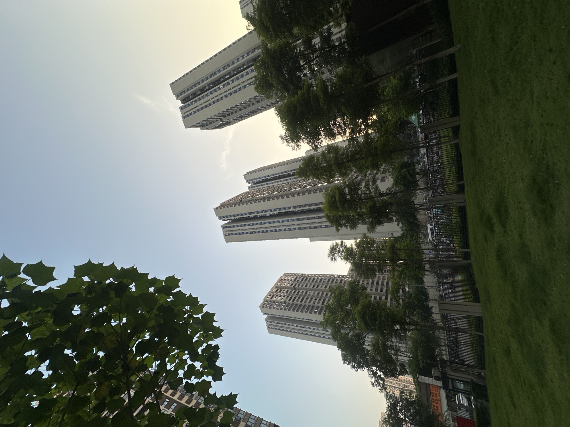 Morning walk through Chongqing's modern urban green spaces documented