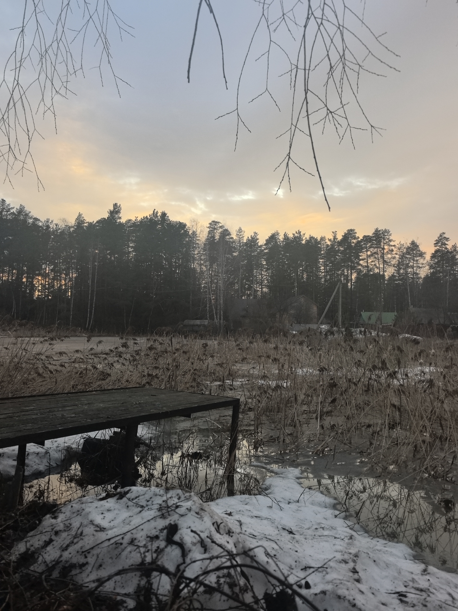Bulldog photographed in backyard scenes across Noviy, Russia