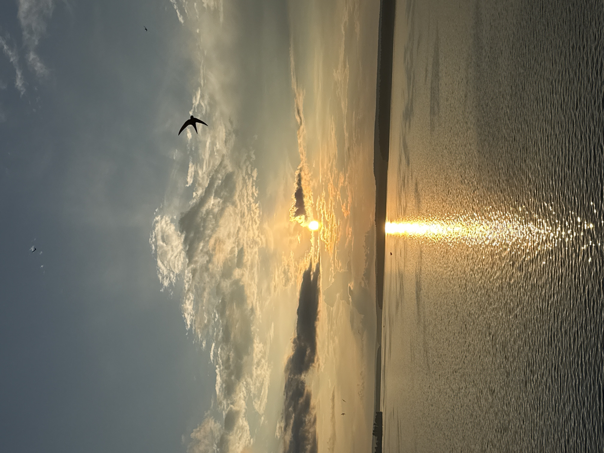Sunset to nightfall on the Votkinsk Reservoir by boat