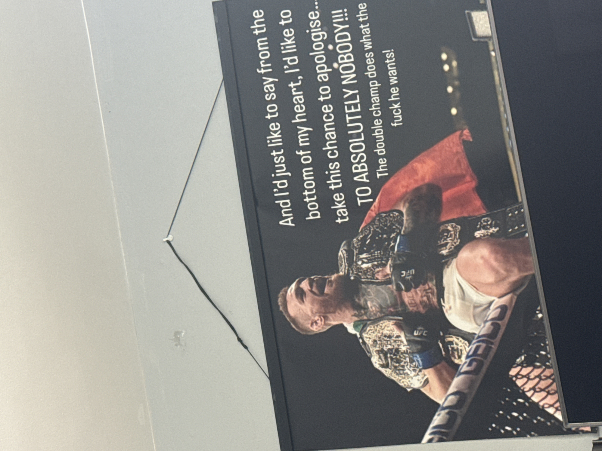 UFC and Harry Potter posters spotted in Des Plaines