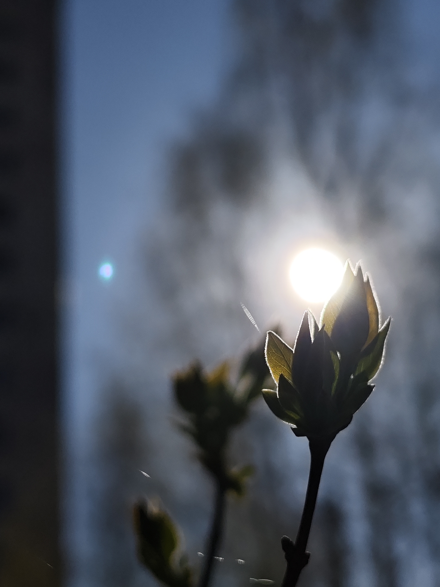 Mother and toddler enjoy spring outing in Chaikovsky