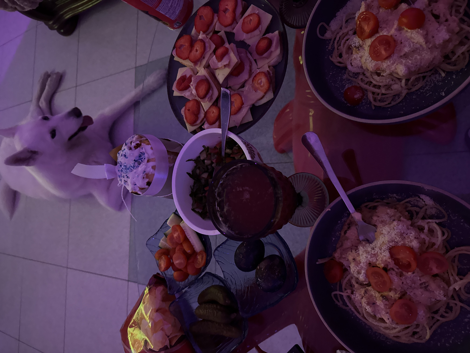 Casual dining moments captured in Polje, Montenegro household