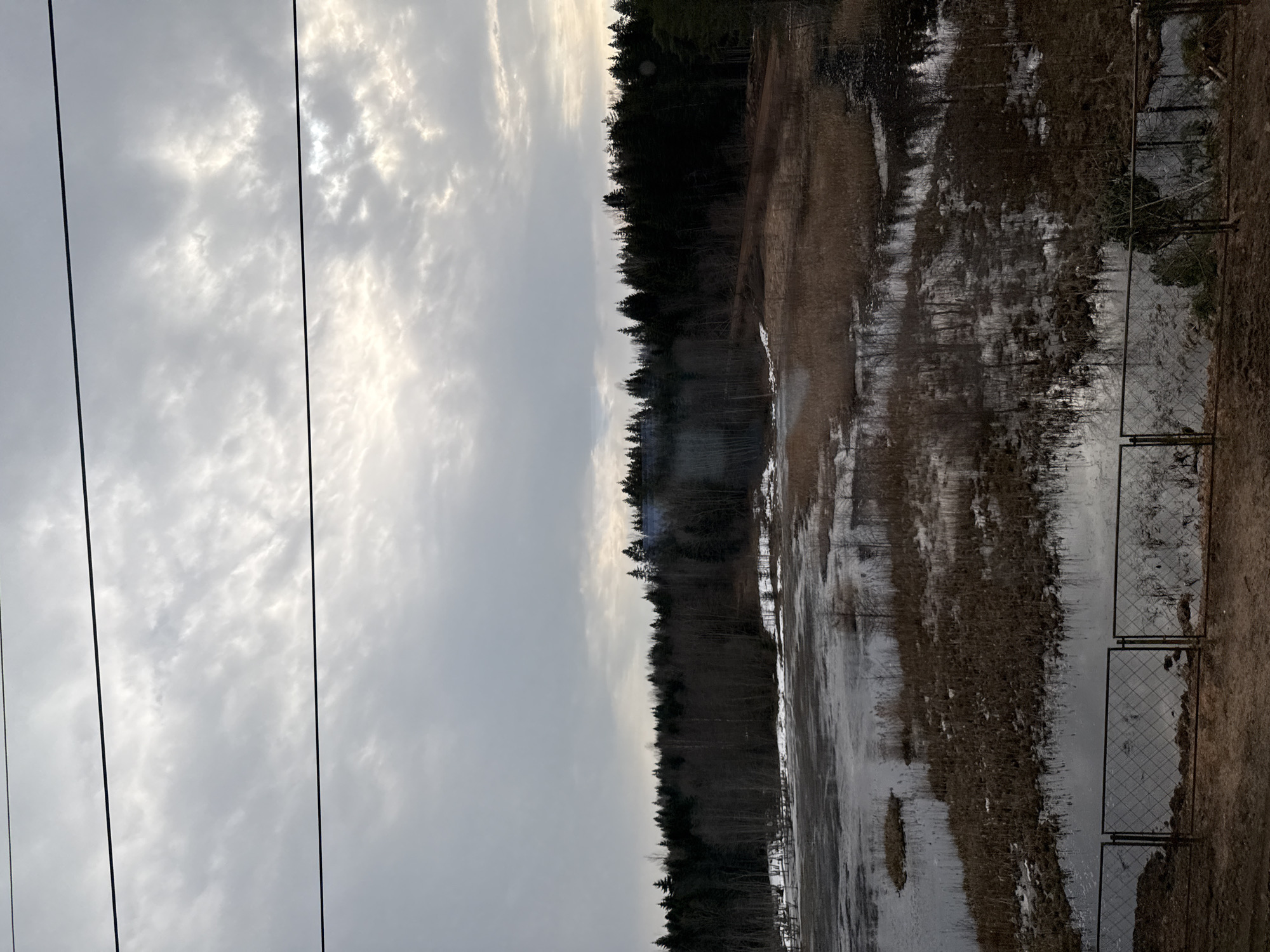 Overcast landscape with power lines and forest in Боровёнка