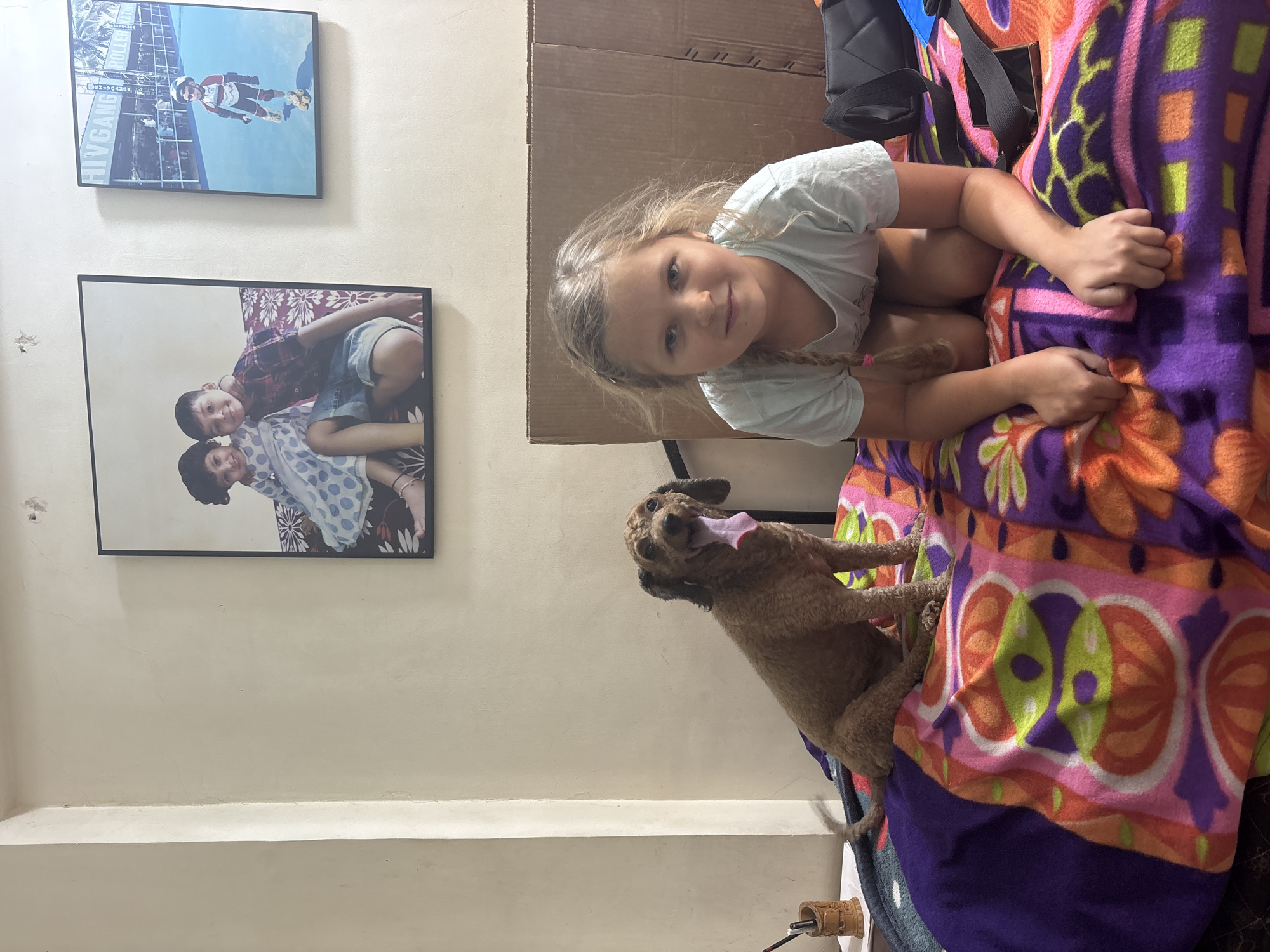 Domestic scenes with child, pet, aquarium observed in Ulhasnagar