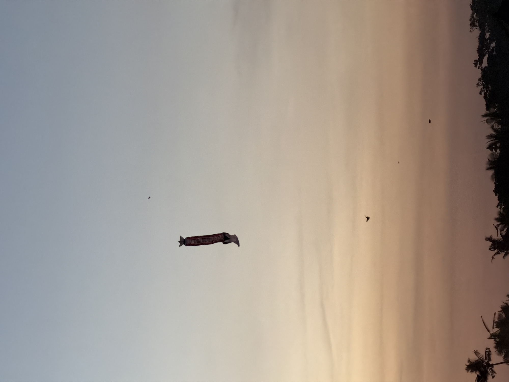 Traditional Balinese kite flies over Mengwi at dusk