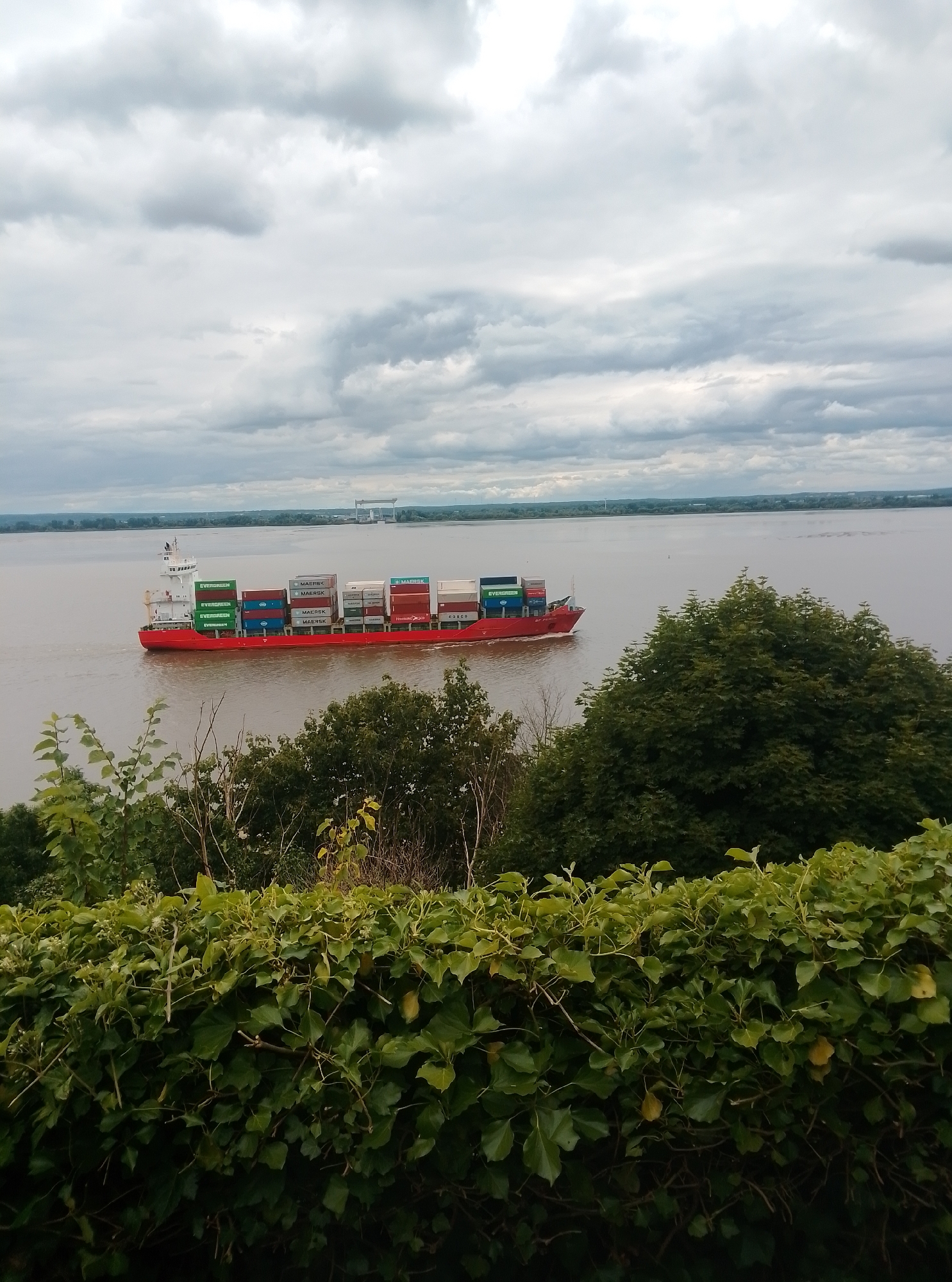 Cargo ships transit the Elbe near Hamburg on an overcast afternoon.