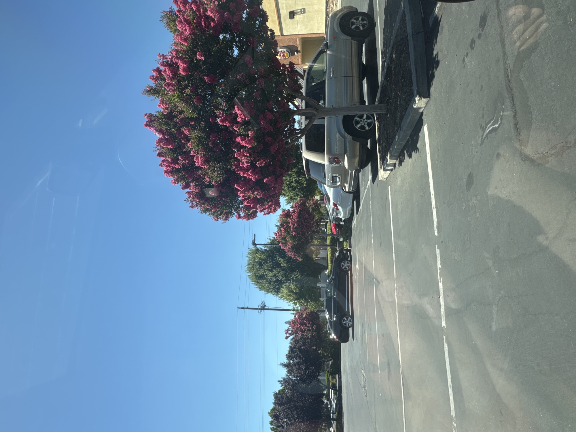 Citrus Heights, United States of America