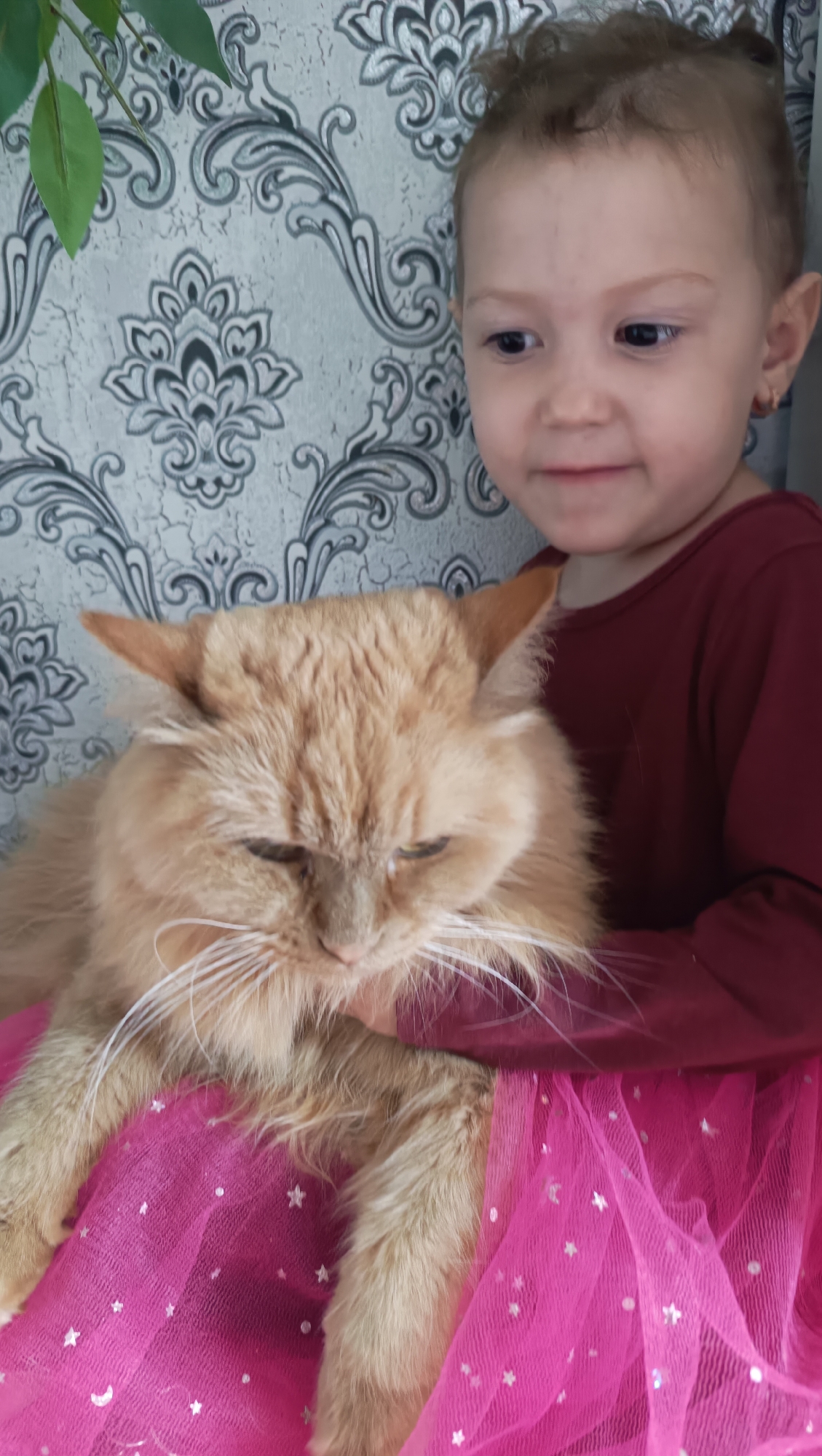 Dress-up, a ginger cat, and flowers at home in Chaikovsky