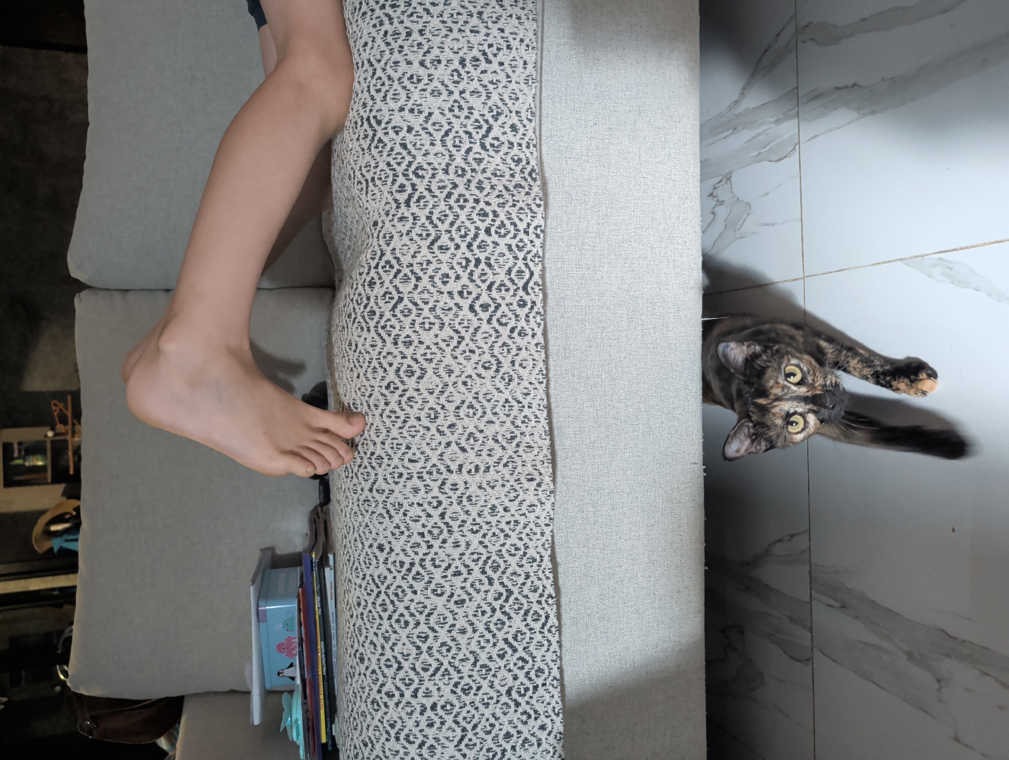 Domestic moments with cat, gaming, moths documented Ko Pha-ngan