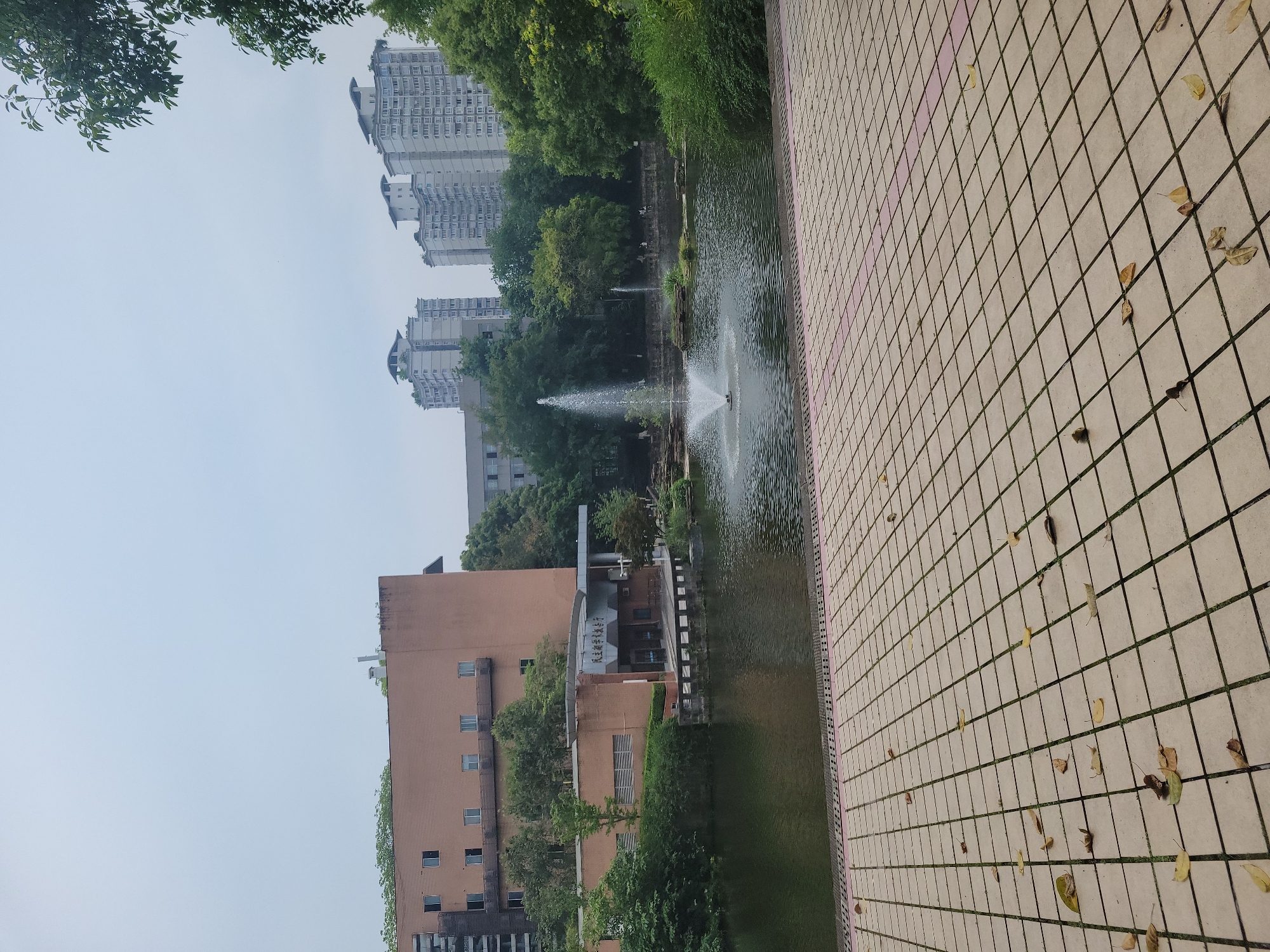Morning scenes captured in Shapingba District park, Chongqing