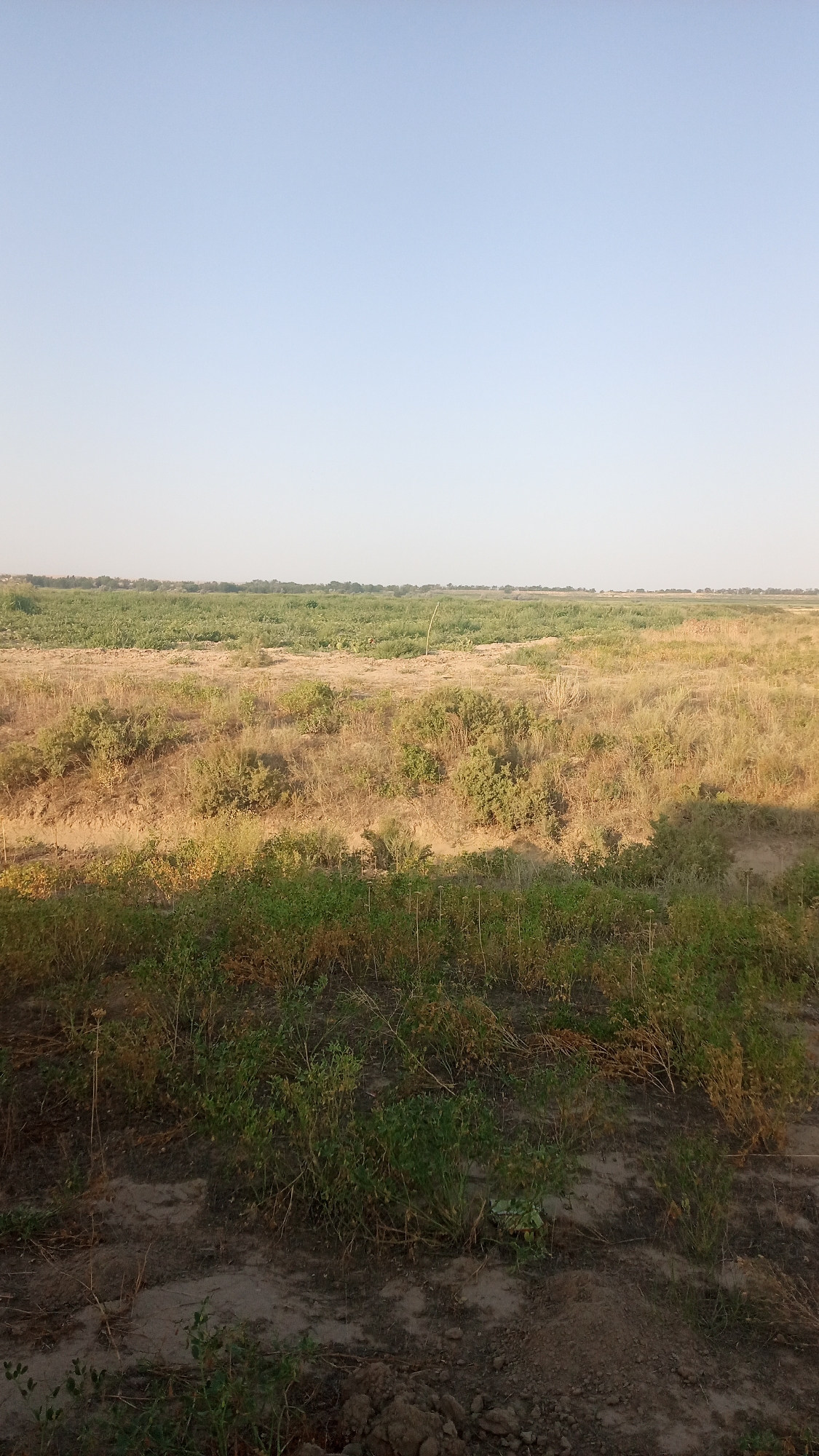 Novyy Put, Kazakhstan