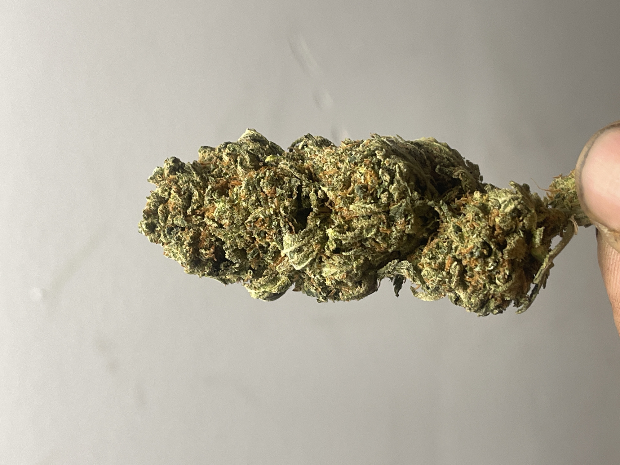 Cannabis buds displayed with rolling papers in close-up shots.