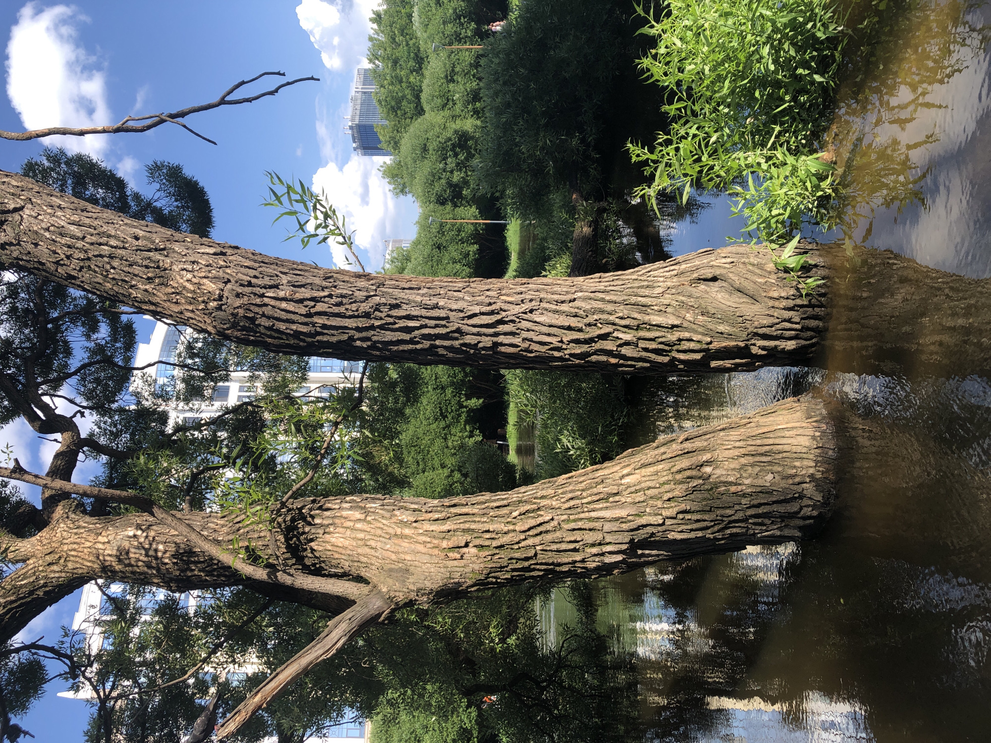 Yekaterinburg riverside flooding, street art, and summer morning