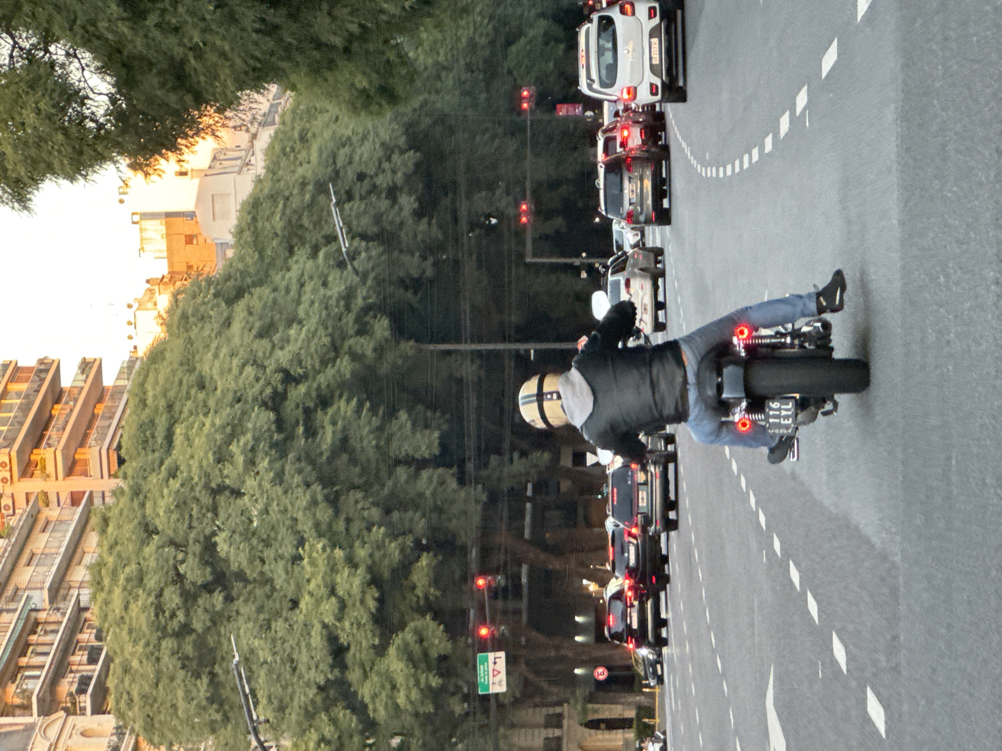 Evening traffic stops at Buenos Aires crosswalk during rush hour