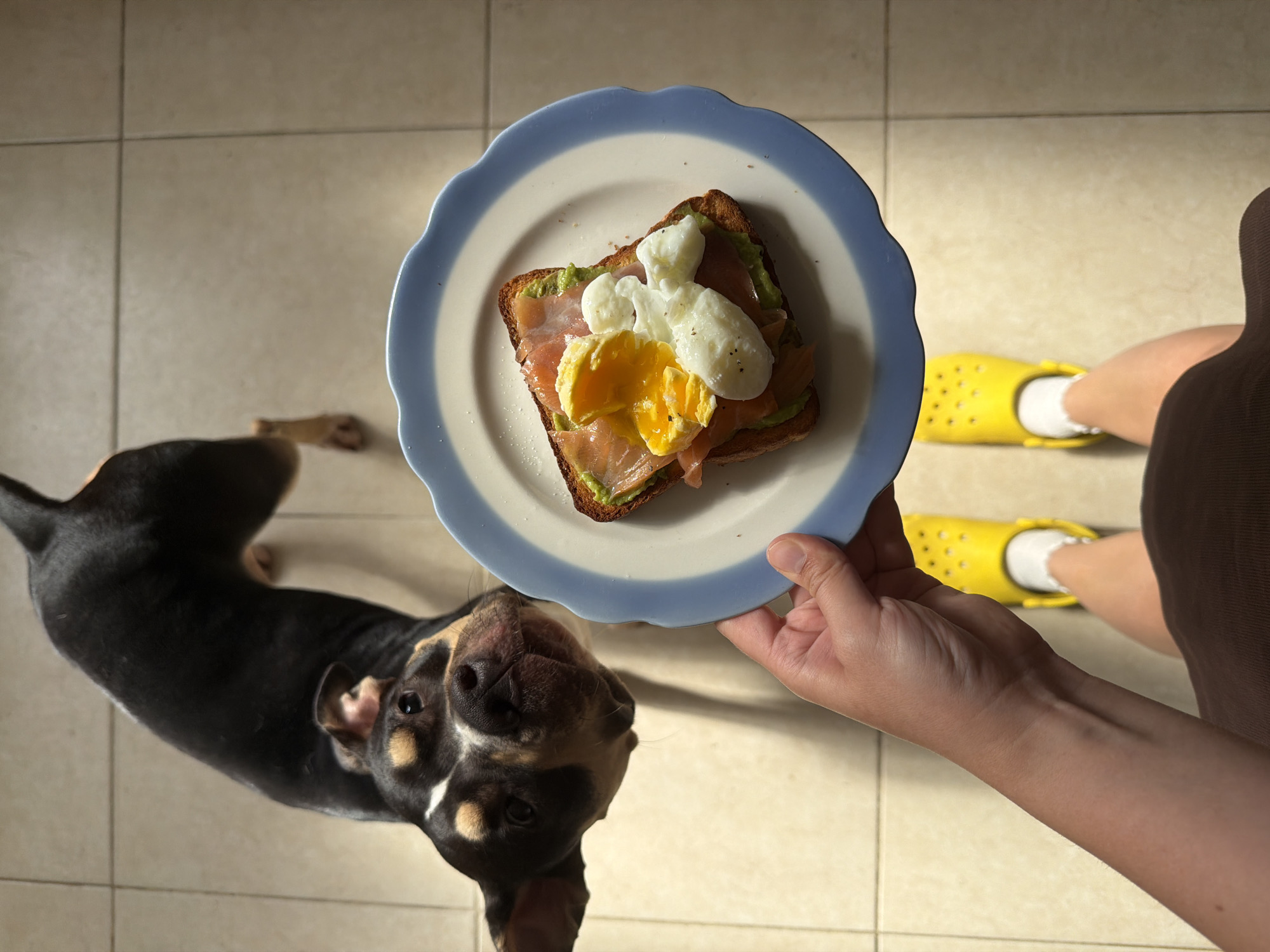 Tel Aviv resident documents brunch and baking session