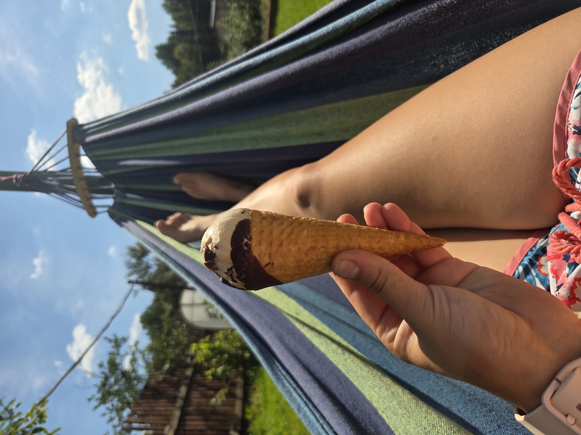 Dacha summer day: hammocks, lizards, a Sphynx cat, and raspberries