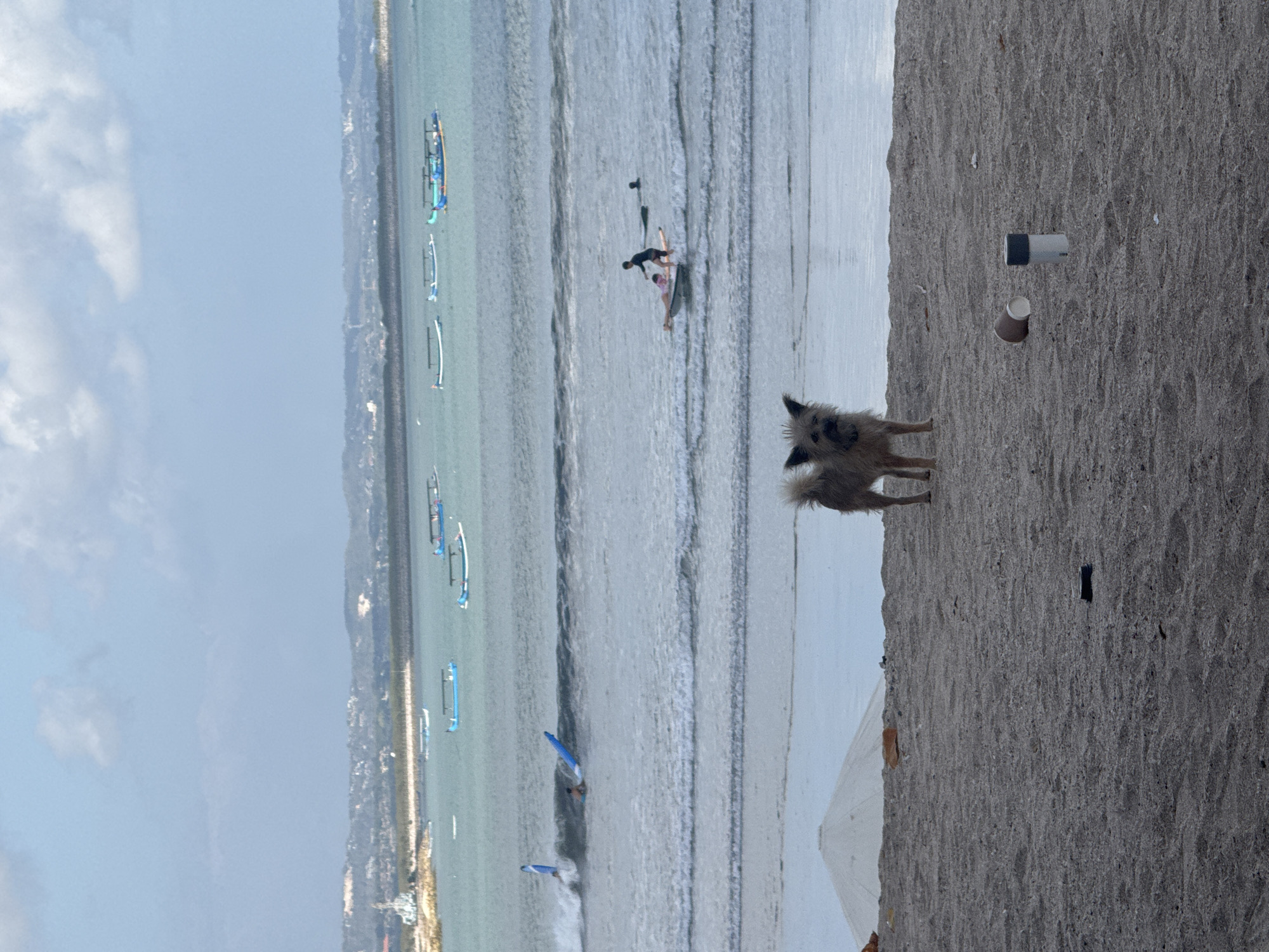 Surfers, beach dogs, and very busy squirrels at Kuta