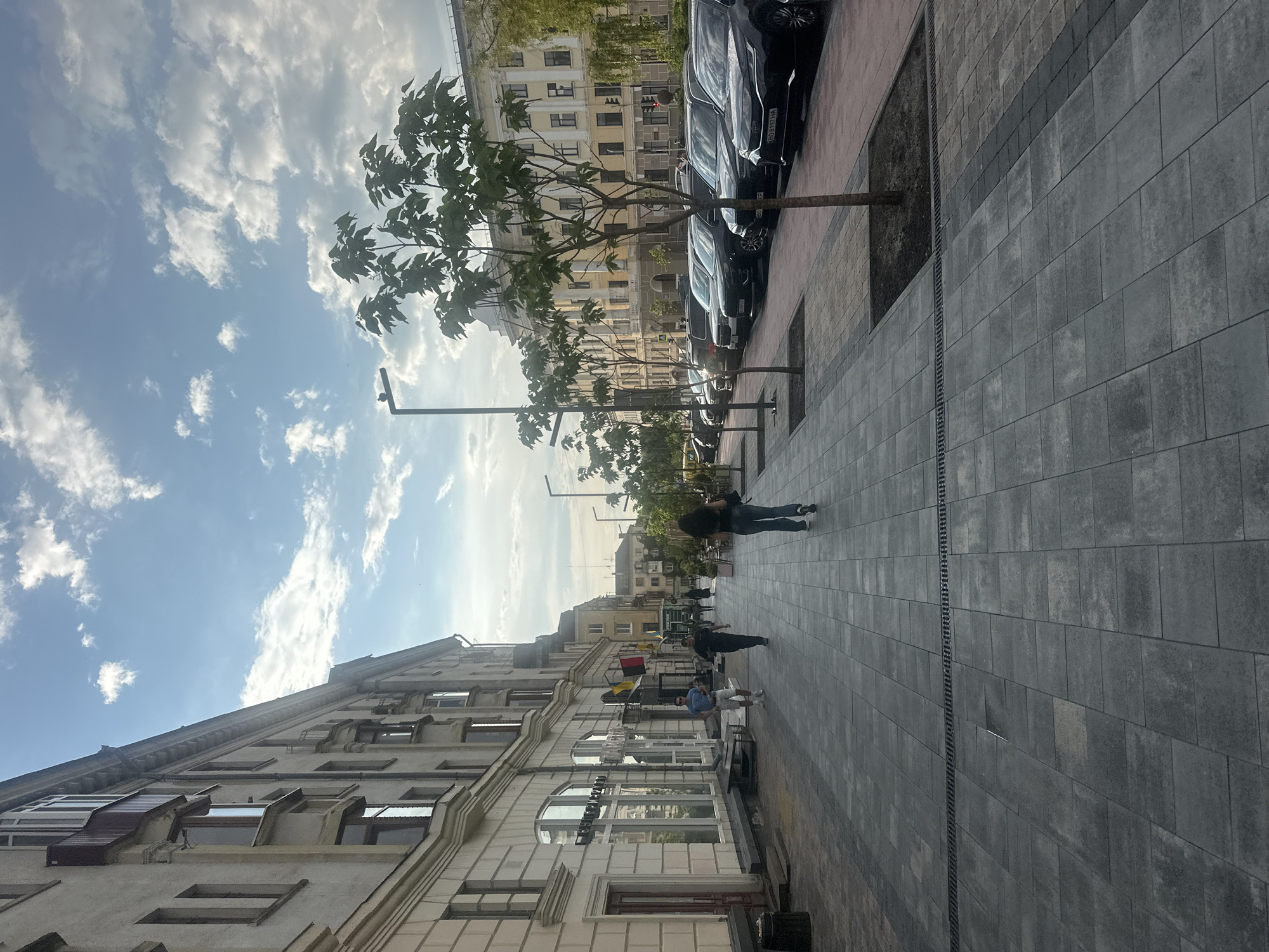 Ternopil's civic center streets, wet pavements, and a grey cat