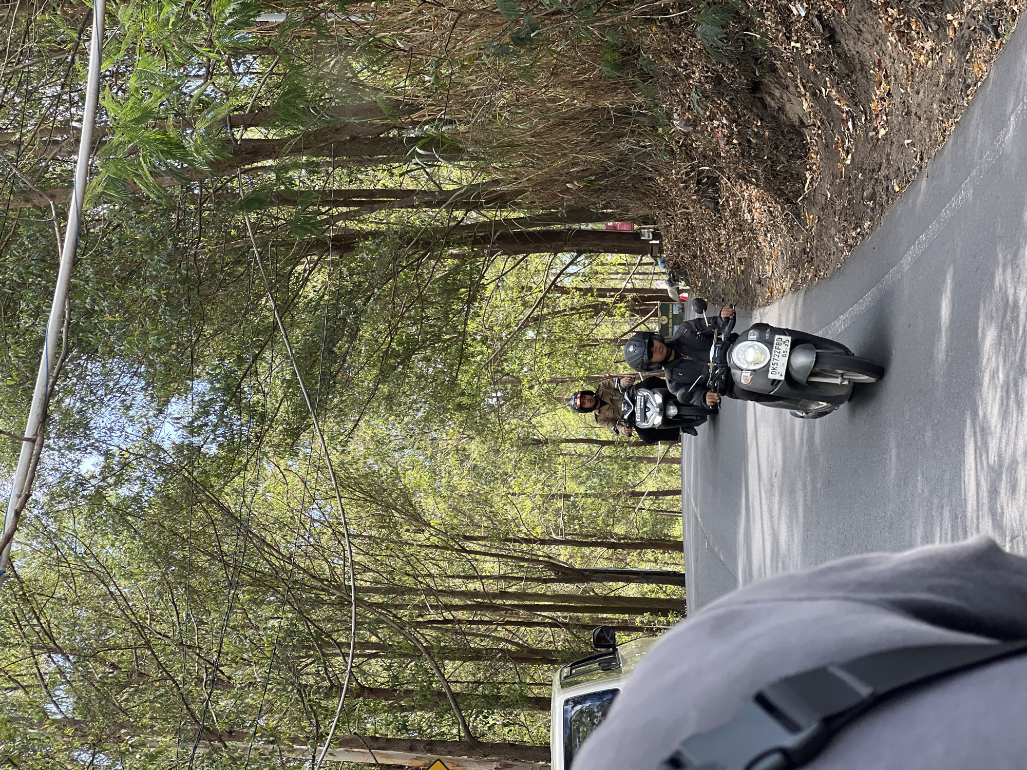 Morning traffic and farmland along Kintamani's forested roads