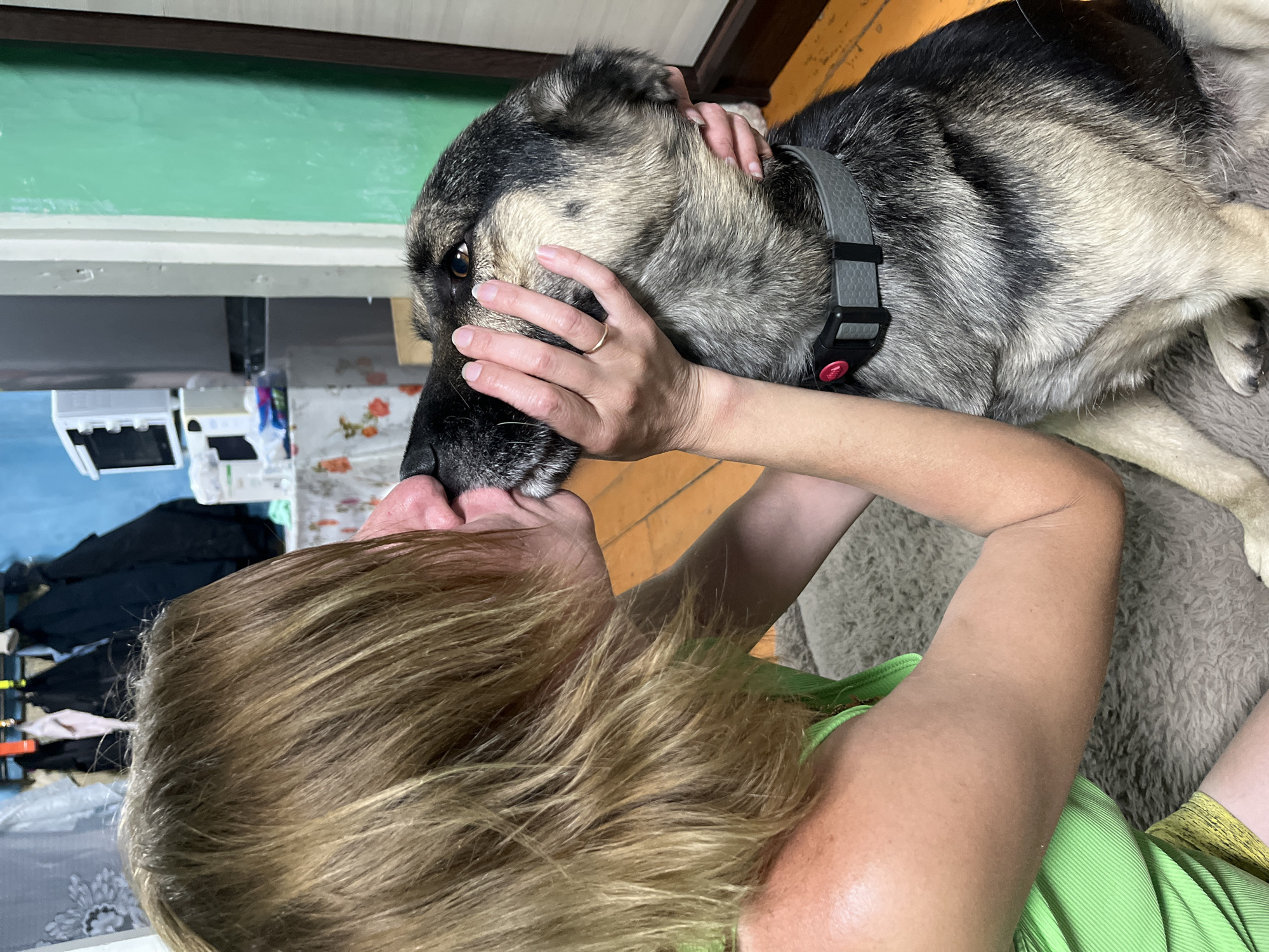 Dogs and cats living their best life in a Nizhny Tagil home
