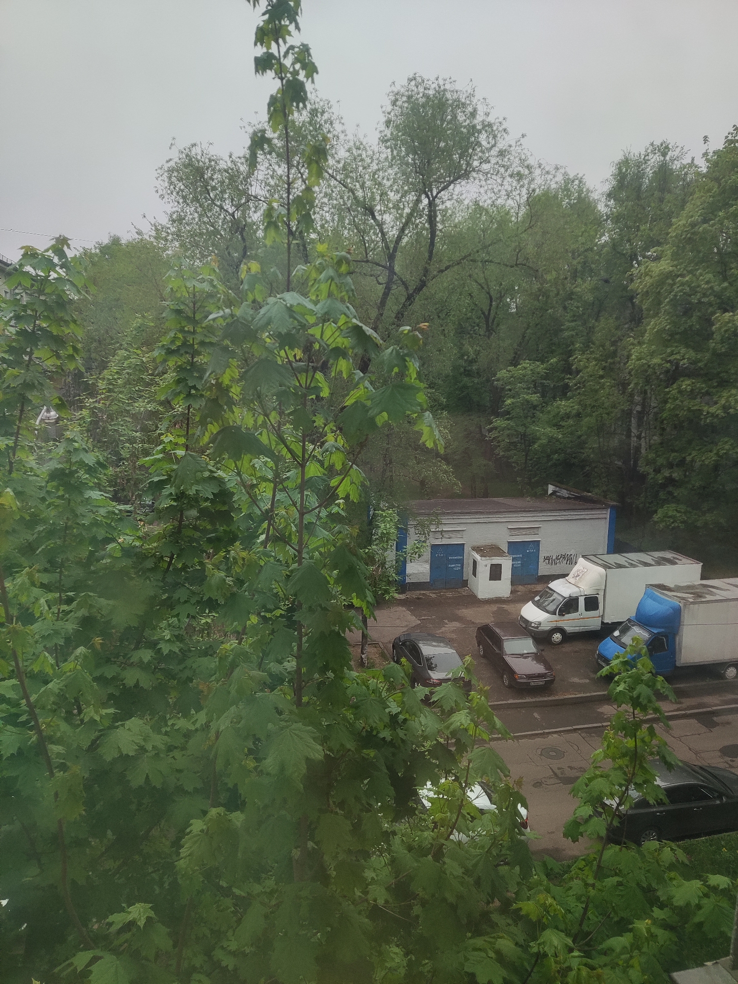 Morning scenes captured in Khimki: parking area and curious cat