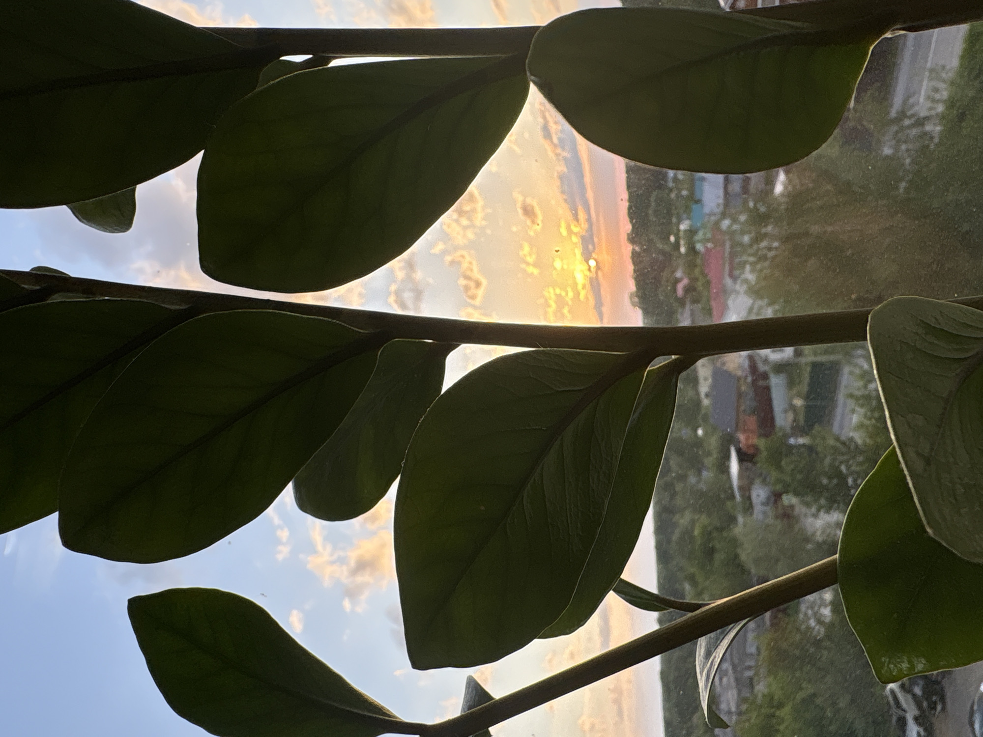 Everyday moments captured across Chaikovsky, Russia in 16-minute span