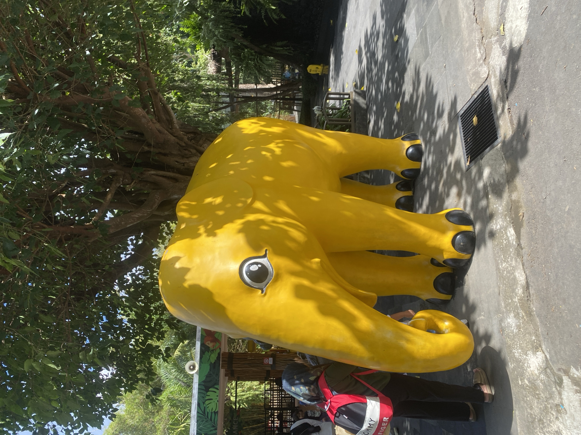 Animal park visit in Sukawati with tigers, deer, and more