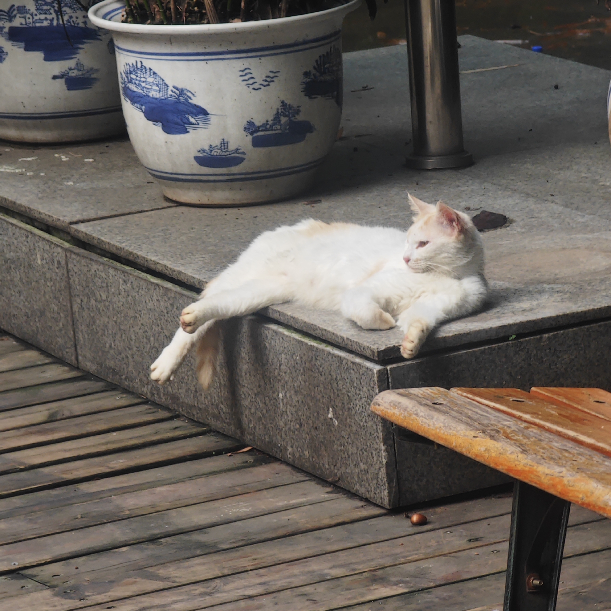Morning life unfolds in Yuzhong District parks and streets