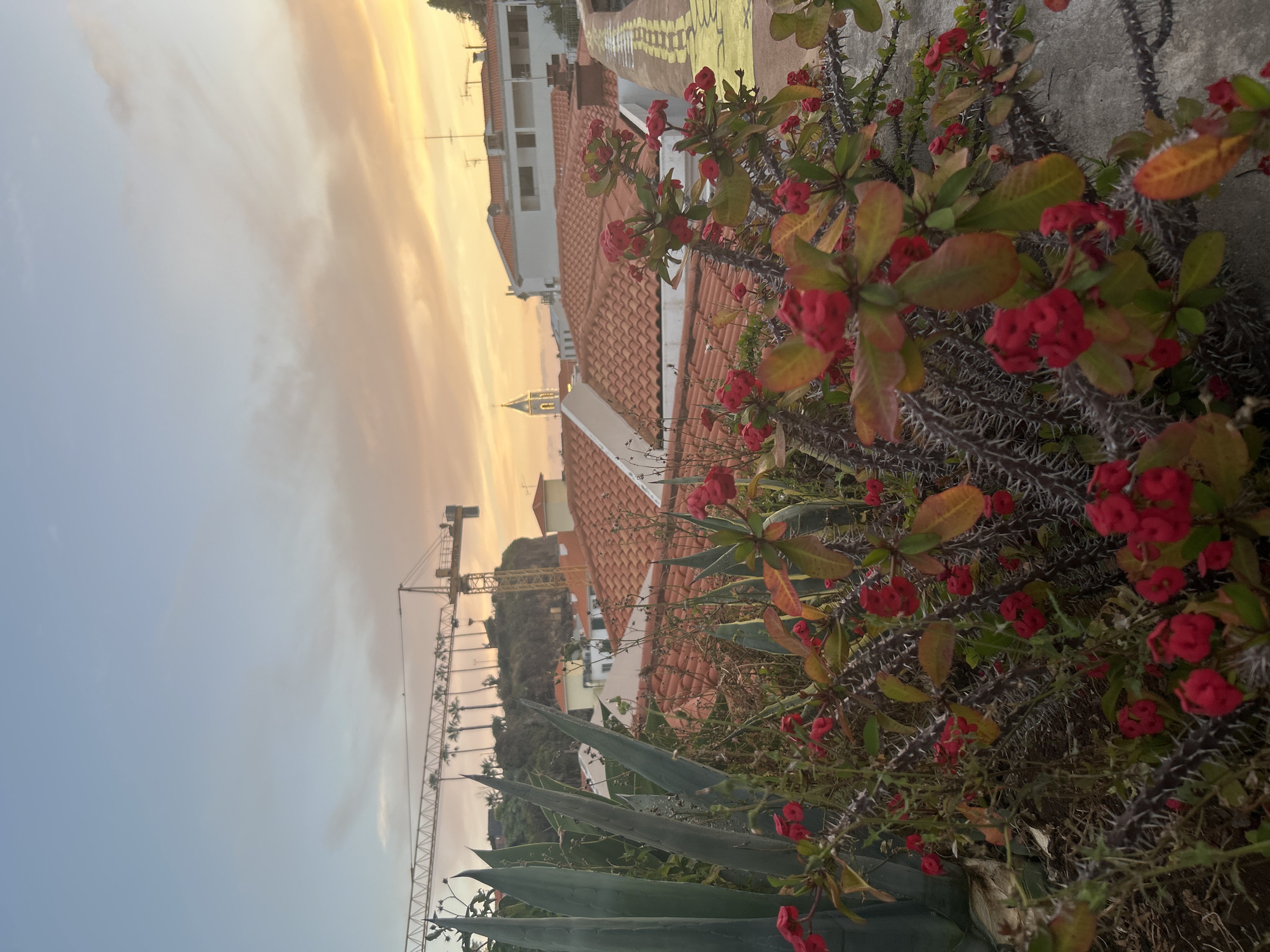 Sunset scenes documented in Câmara de Lobos, Portugal