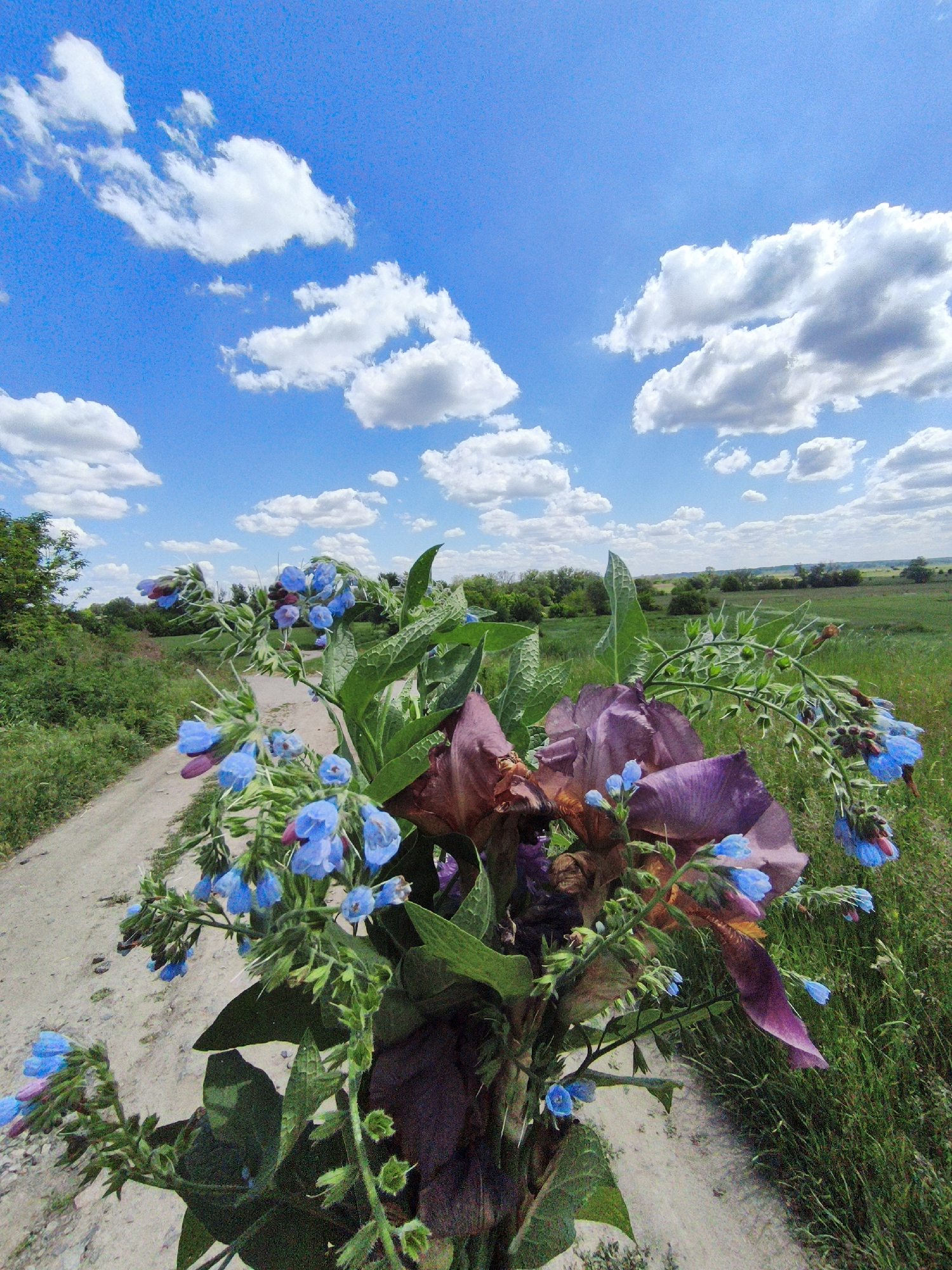 Traditional Ukrainian folk crafts documented in Ustyvytsia village