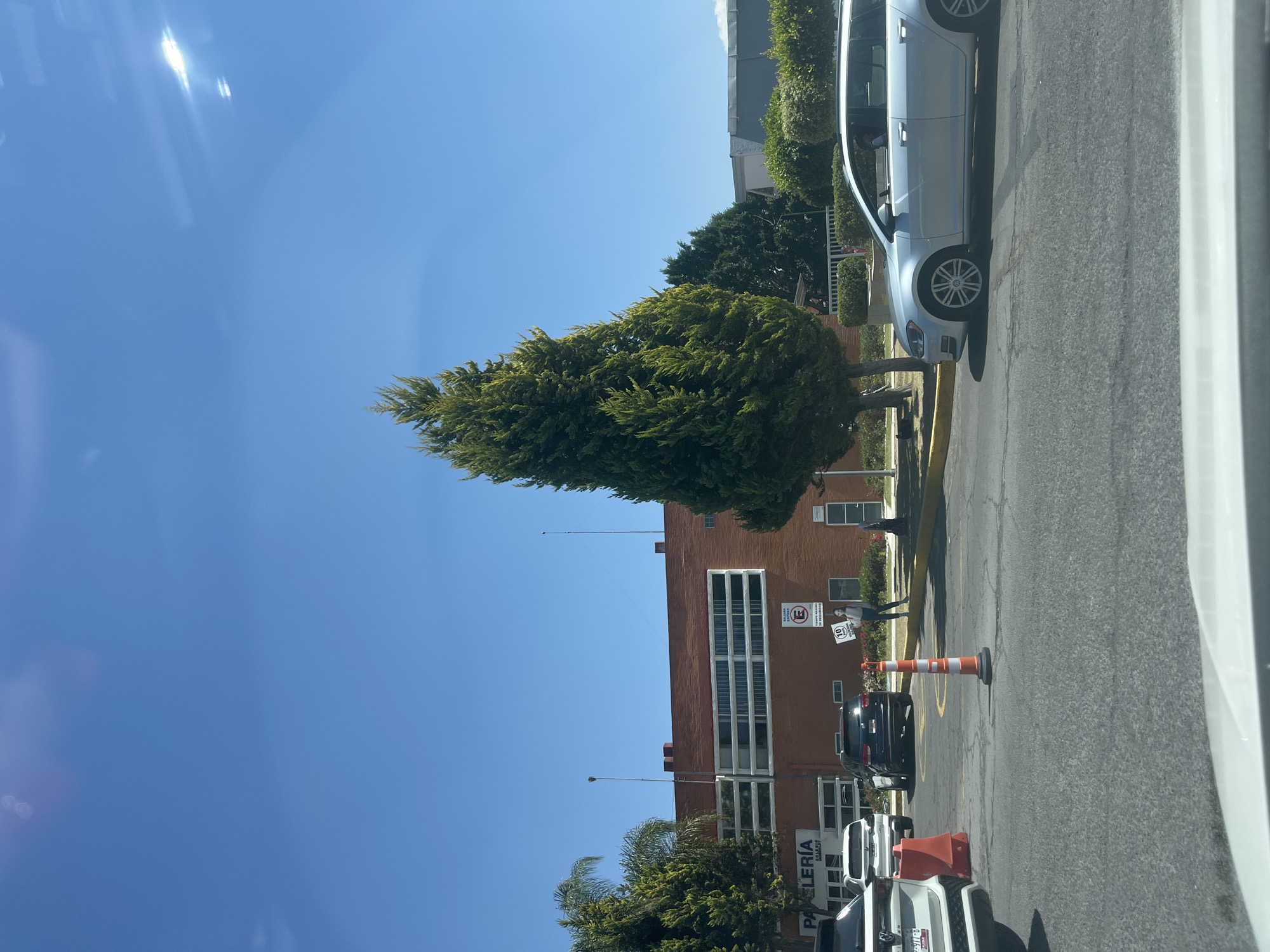 Vehicle journey through tree-lined streets of Puebla, Mexico documented