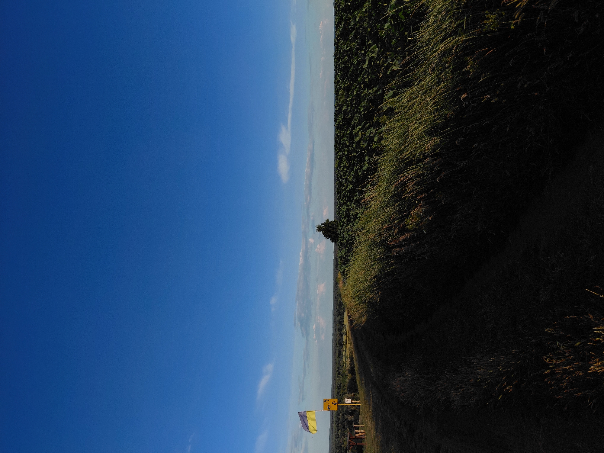 Rural Ukrainian countryside with hilltop swing and flag display