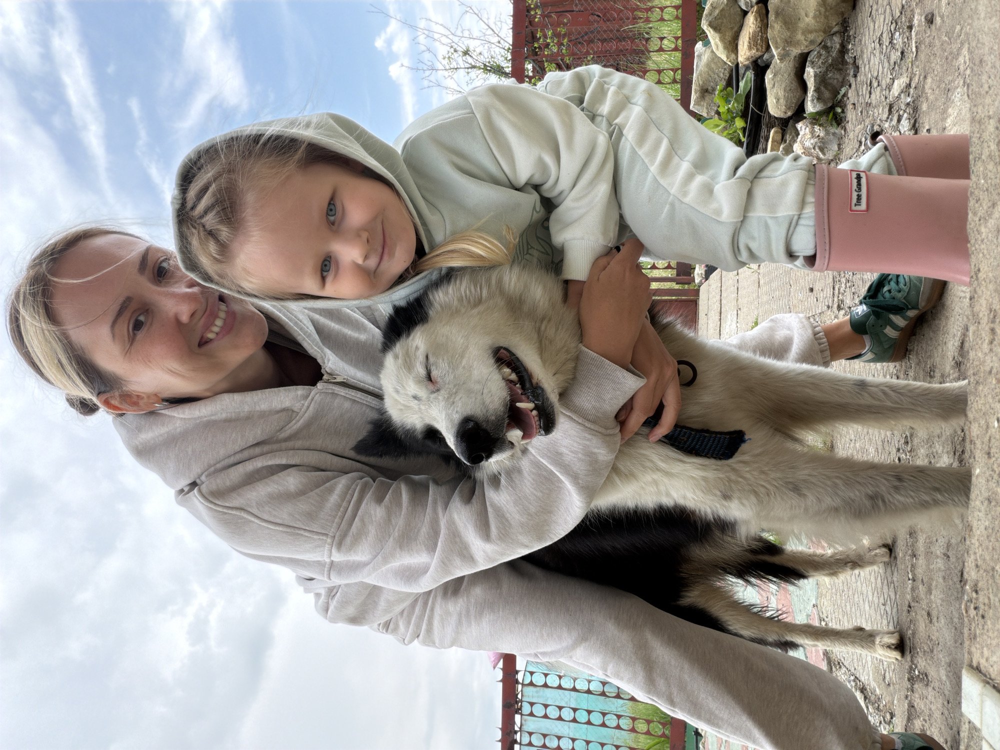 Family dog play and strawberry gardening observed in Kamyshin