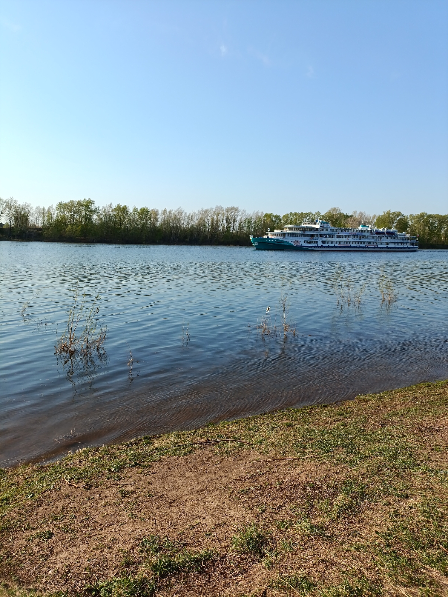 Cruise ship travels Kama River near Chaikovsky on sunny day