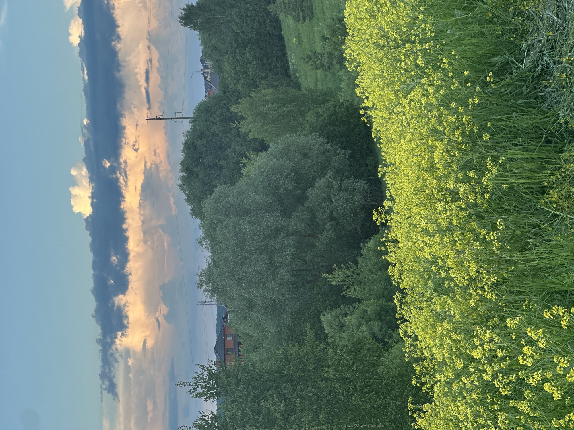Sunset captured over green fields near Эстачи, Russia