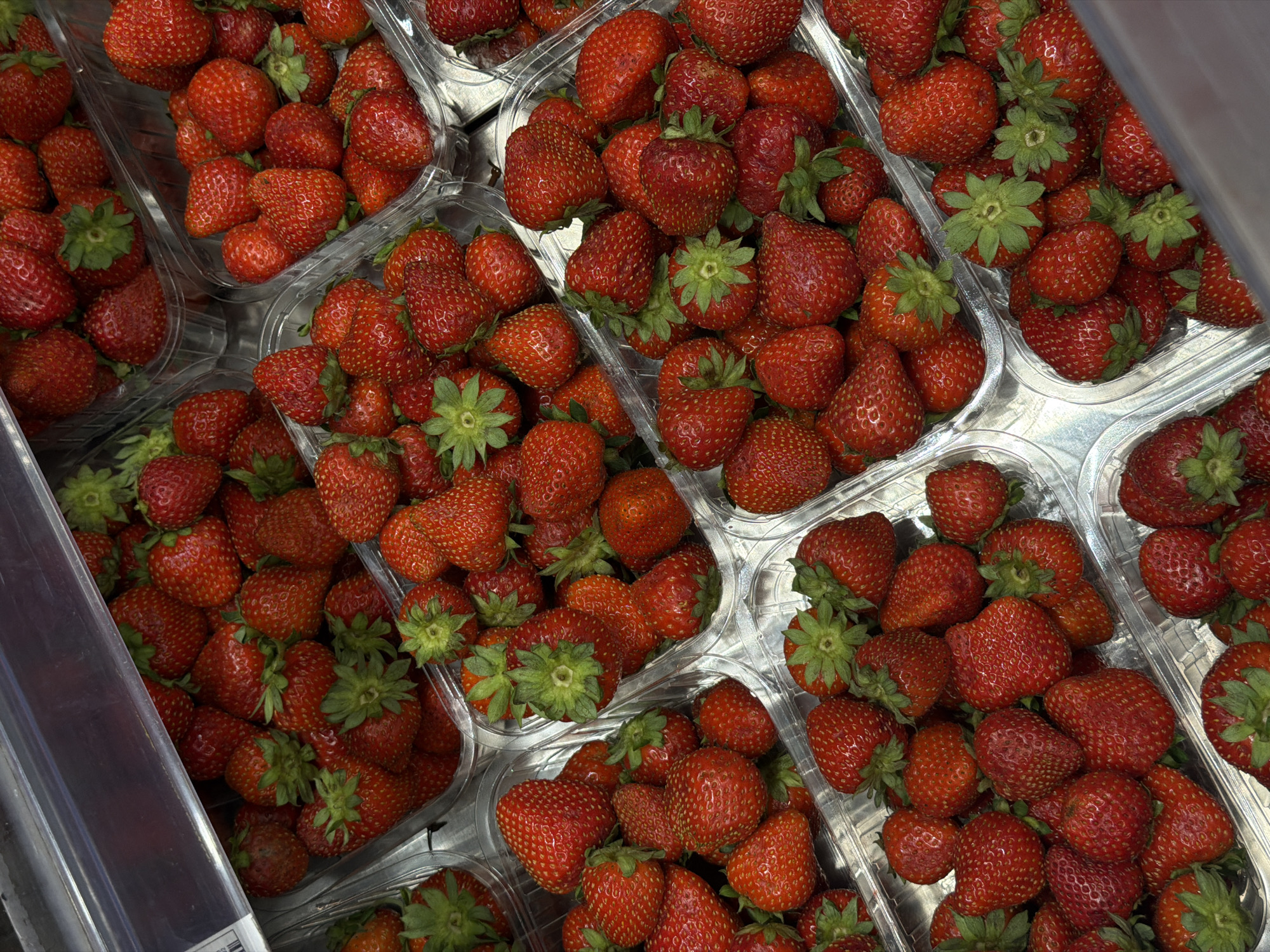 Summer fruit display at a Perm supermarket