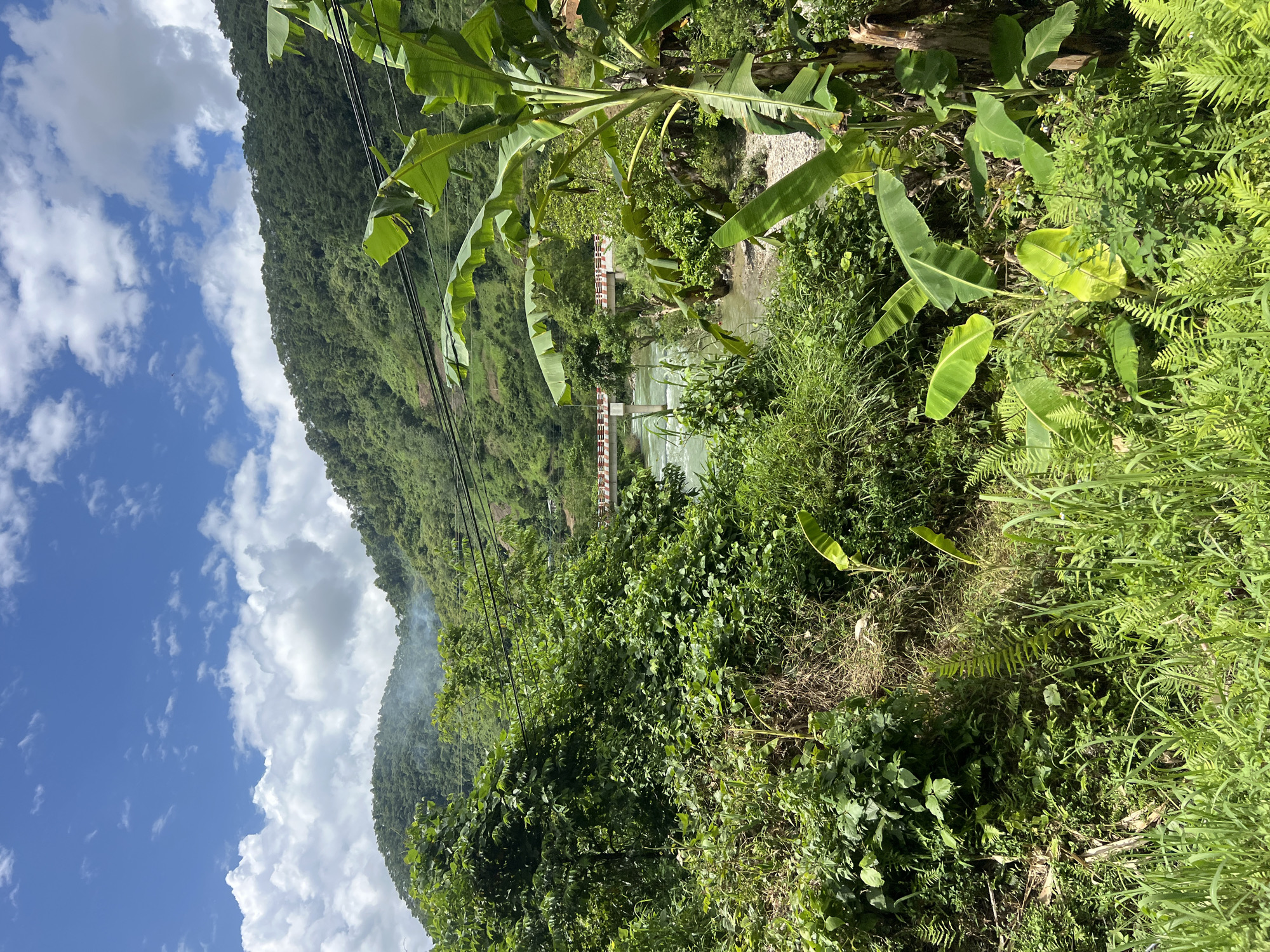 Tropical hillside and river scene in Thuận Hòa Commune, Vietnam