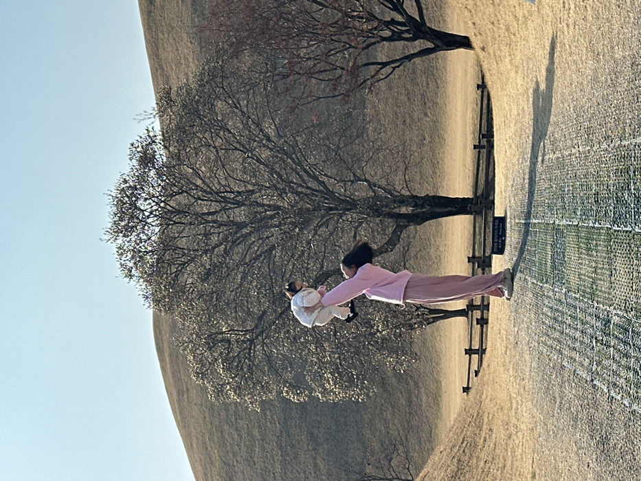 Family visits ancient tombs in Gyeongju during early morning hours