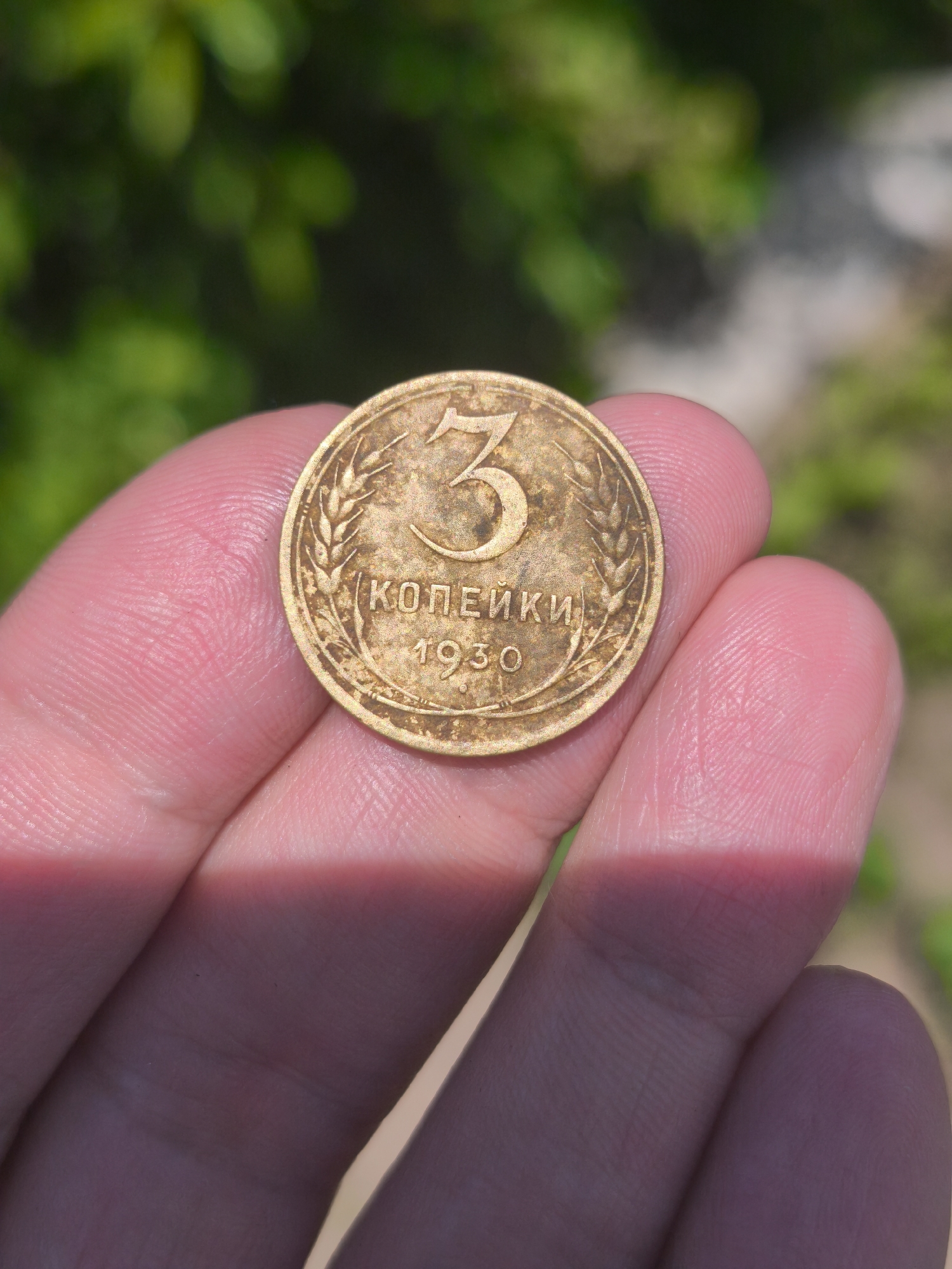 Village morning: Historic coins discovered during rural walk in Kady